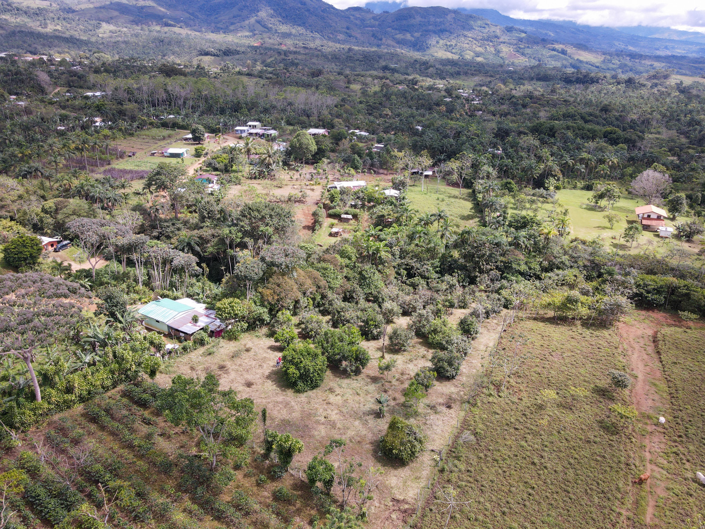 0 bed Land For Sale in Perez Zeledon, San Jose - thumb 6