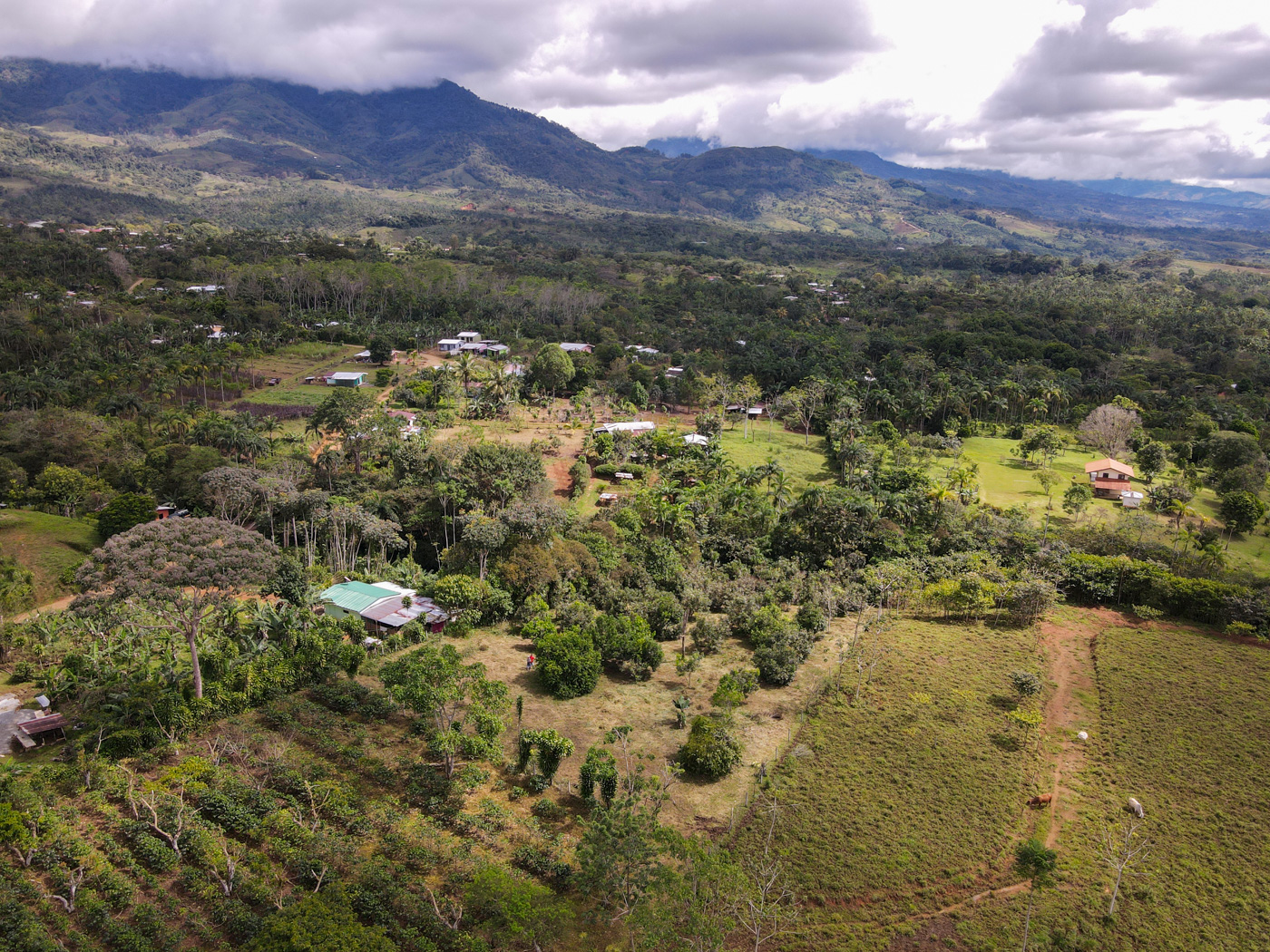 0 bed Land For Sale in Perez Zeledon, San Jose - thumb 4