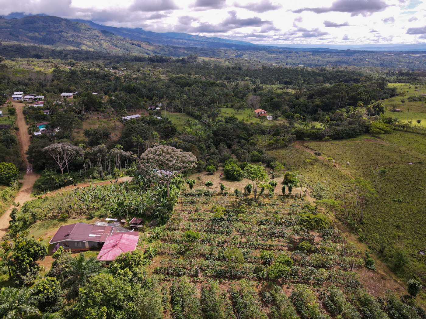 0 bed Land For Sale in Perez Zeledon, San Jose - thumb 8