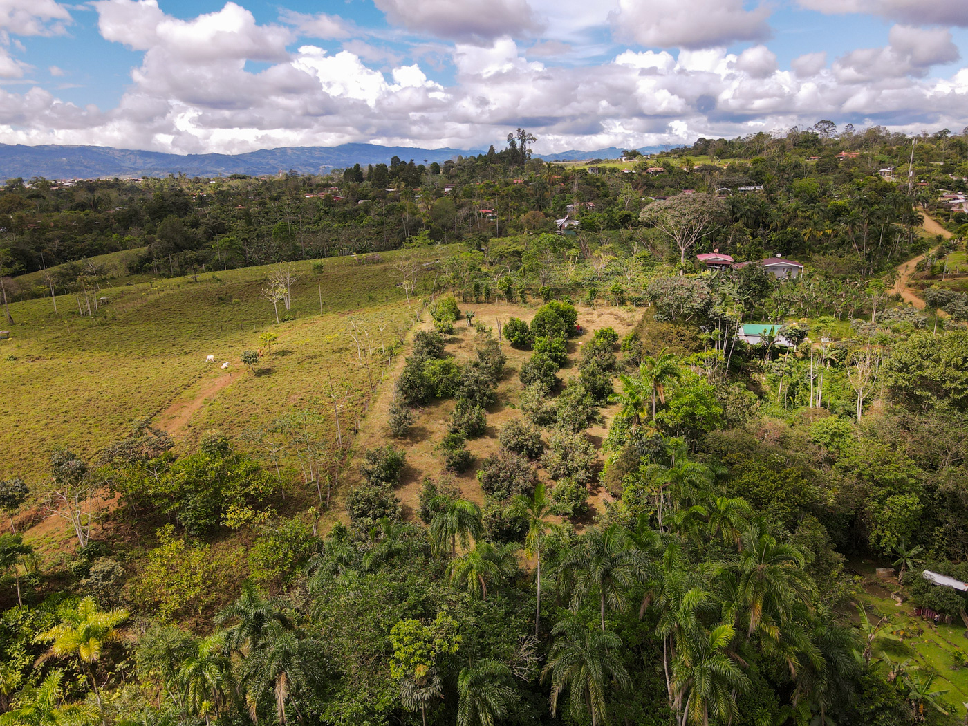 0 bed Land For Sale in Perez Zeledon, San Jose - thumb 14