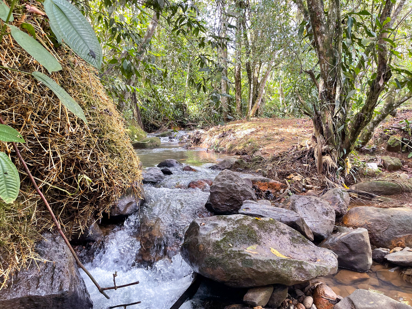 0 bed Land For Sale in Perez Zeledon, San Jose - thumb 5