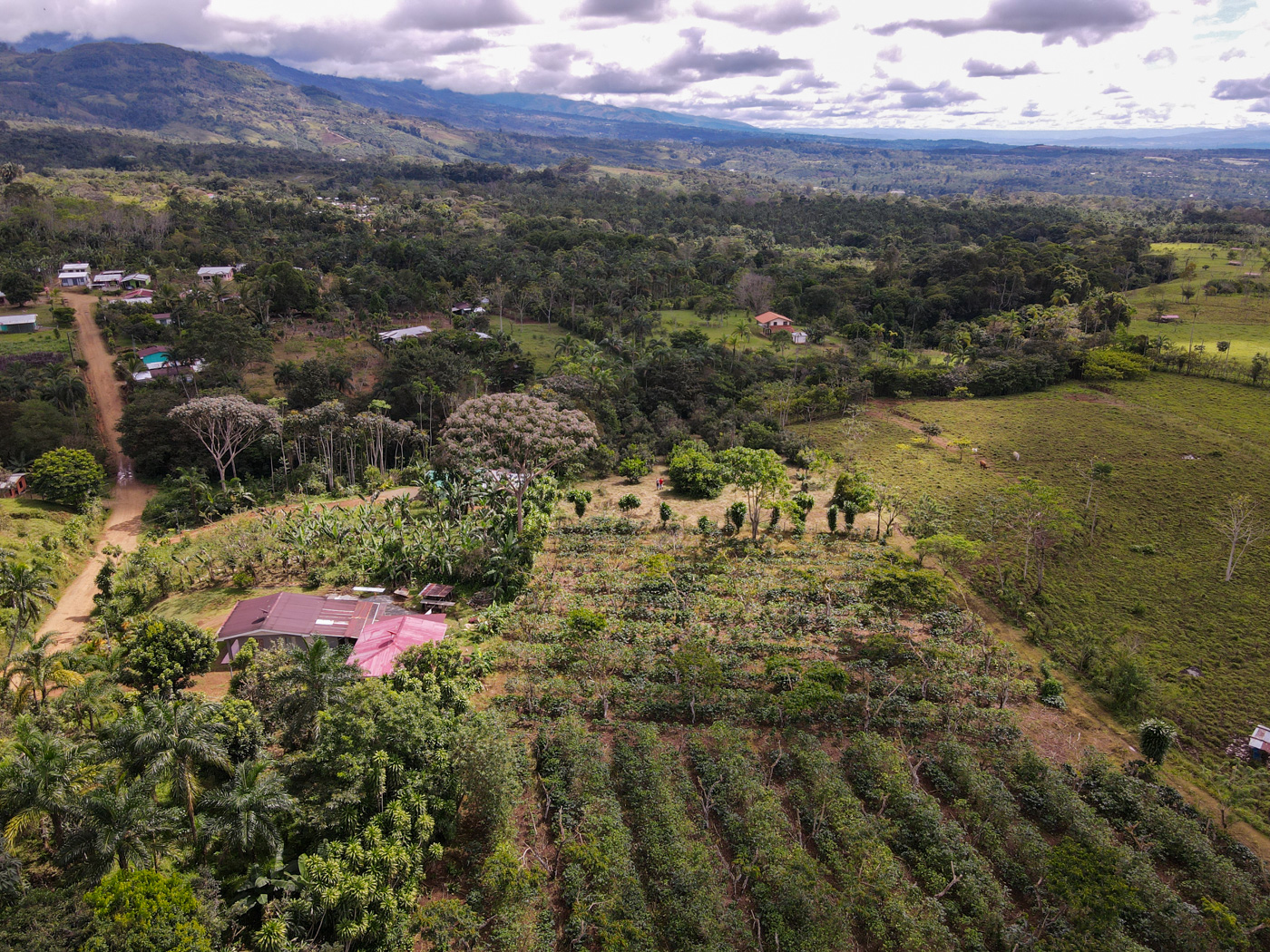 0 bed Land For Sale in Perez Zeledon, San Jose - thumb 7