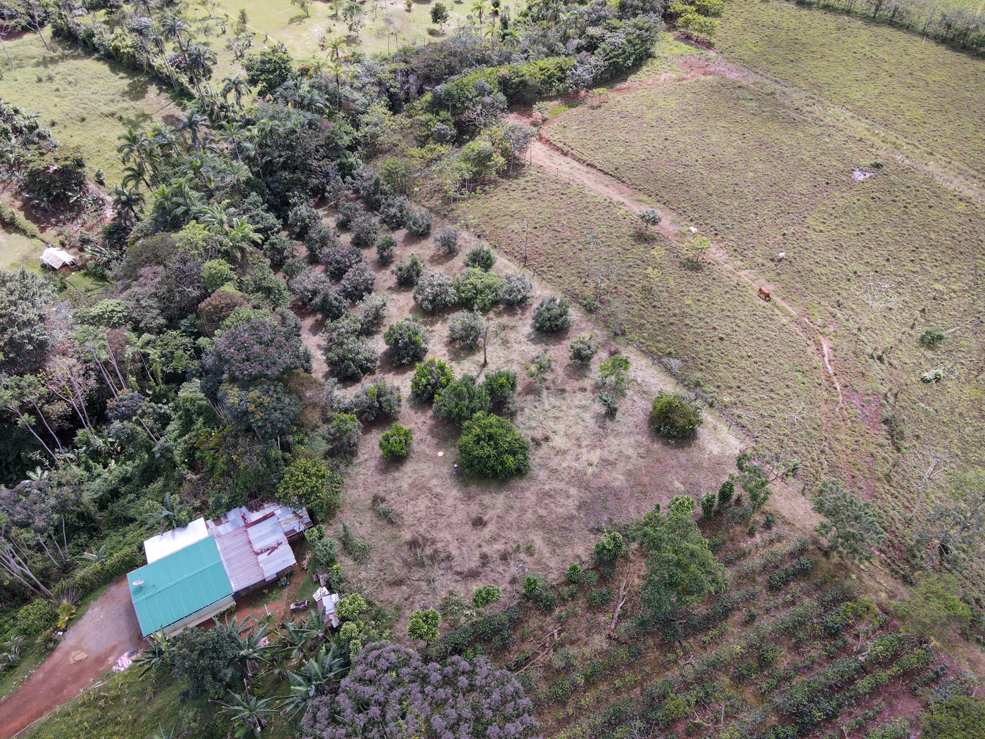 0 bed Land For Sale in Perez Zeledon, San Jose - thumb 1