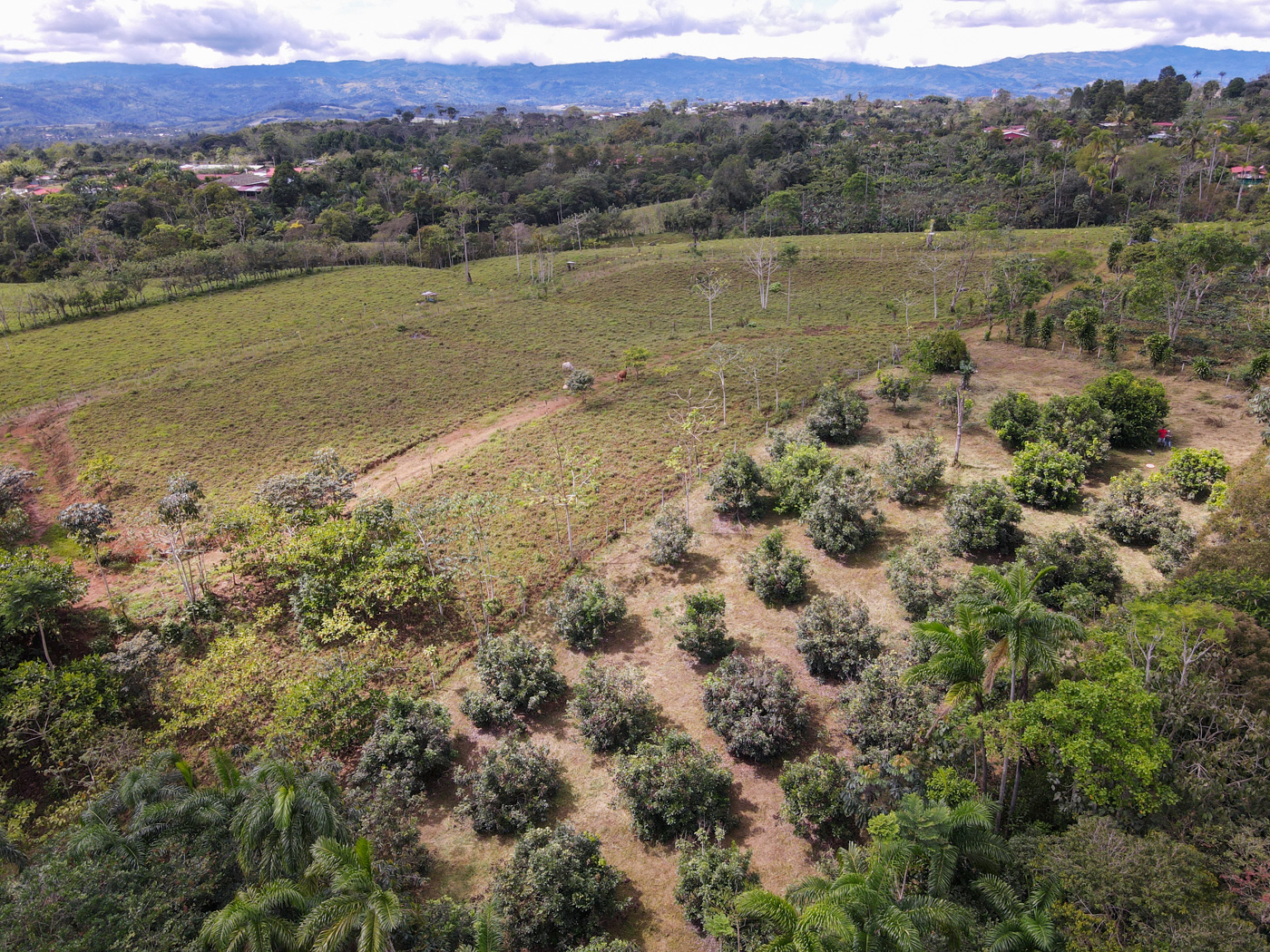 0 bed Land For Sale in Perez Zeledon, San Jose - thumb 11