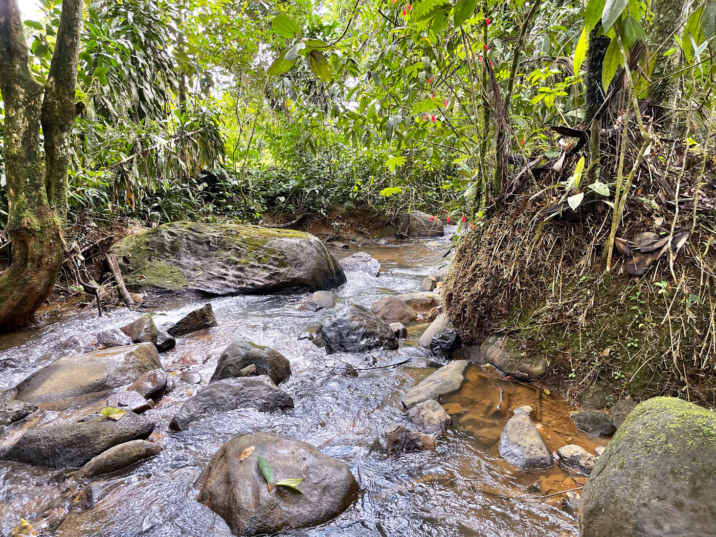 0 bed Land For Sale in Perez Zeledon, San Jose - thumb 3