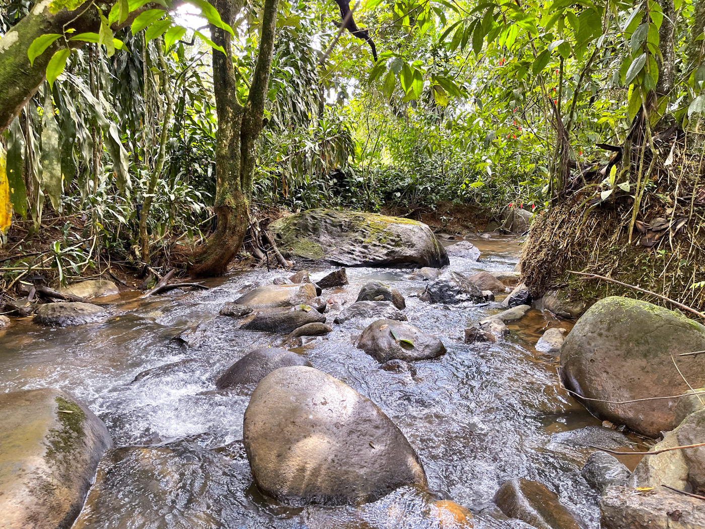 0 bed Land For Sale in Perez Zeledon, San Jose - thumb 19