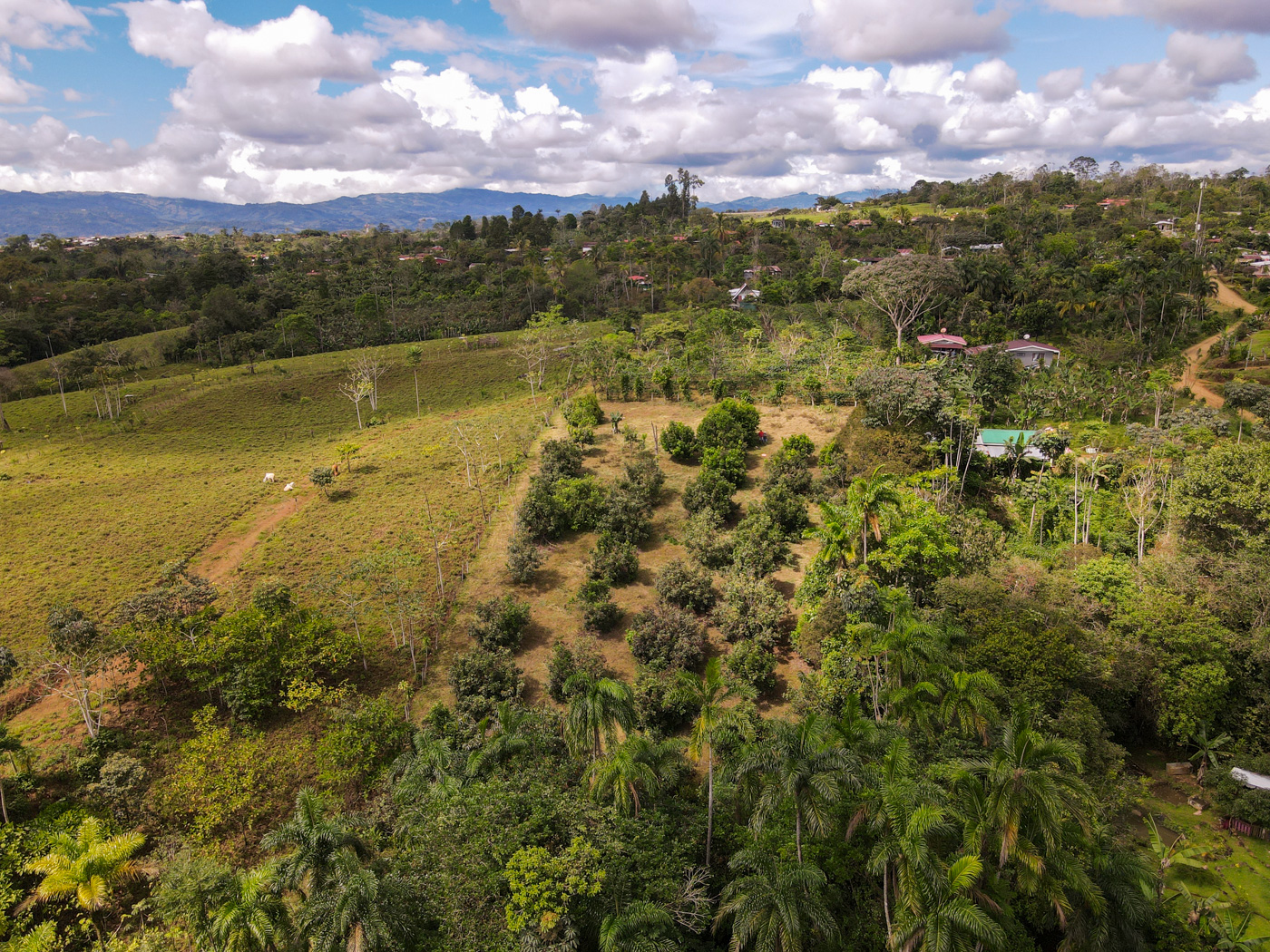 0 bed Land For Sale in Perez Zeledon, San Jose - thumb 15