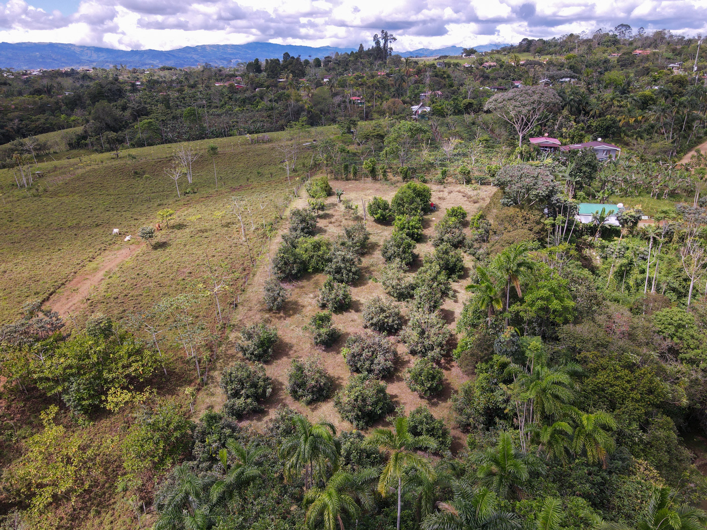 0 bed Land For Sale in Perez Zeledon, San Jose - thumb 13