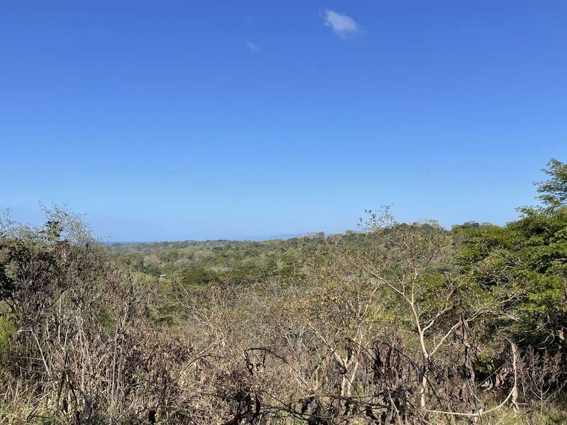 0 bed Land For Sale in Manzanillo, Puntarenas - 1