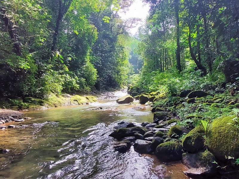 0 bed Land For Sale in Dominical, Puntarenas - 1