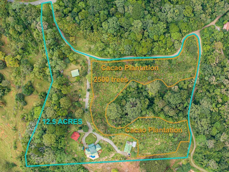 3 bed Single Family Homes For Sale in Dominical, Puntarenas - 1