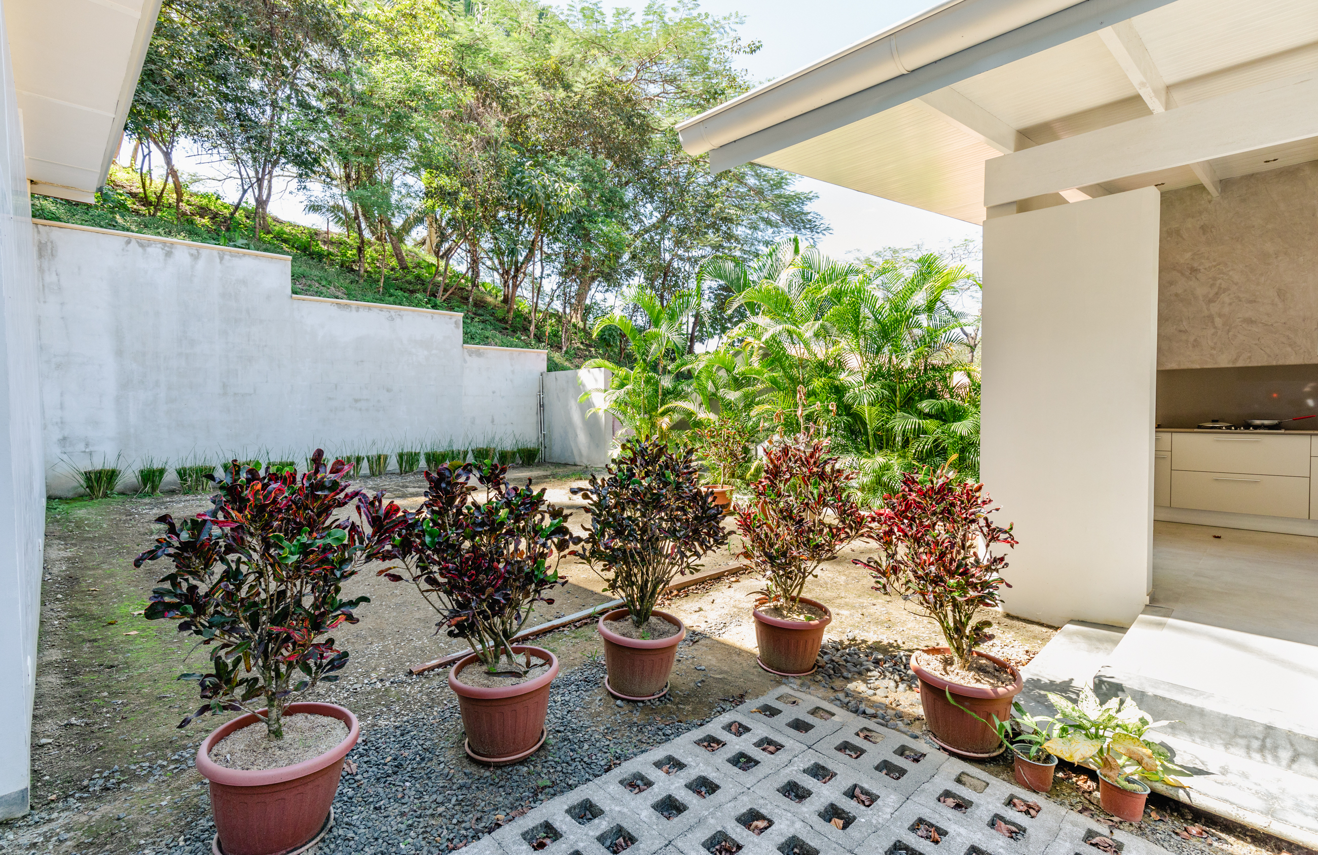 1 bed Single Family Homes For Sale in Nosara, Guanacaste - thumb 5