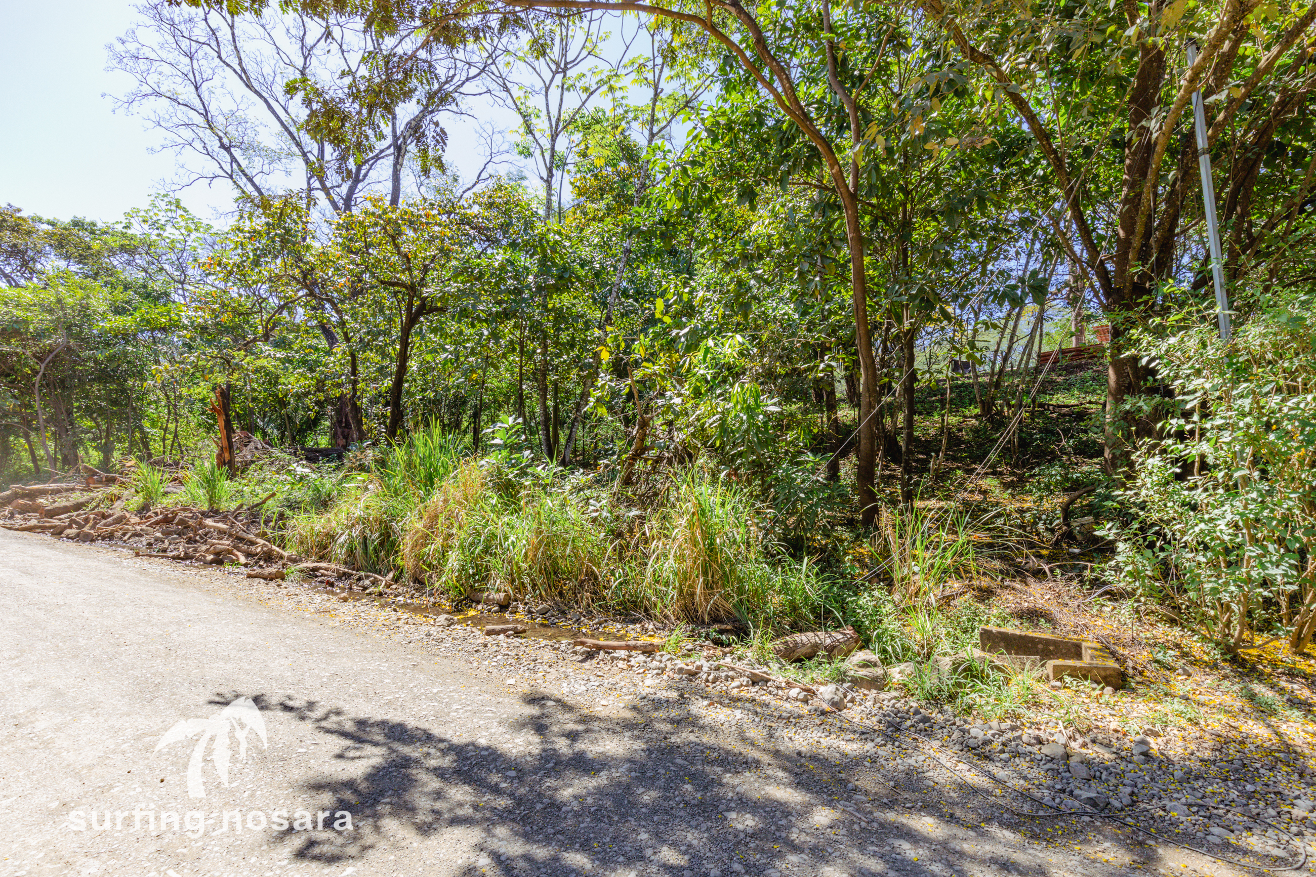 0 bed Land For Sale in Nosara, Guanacaste - thumb 6