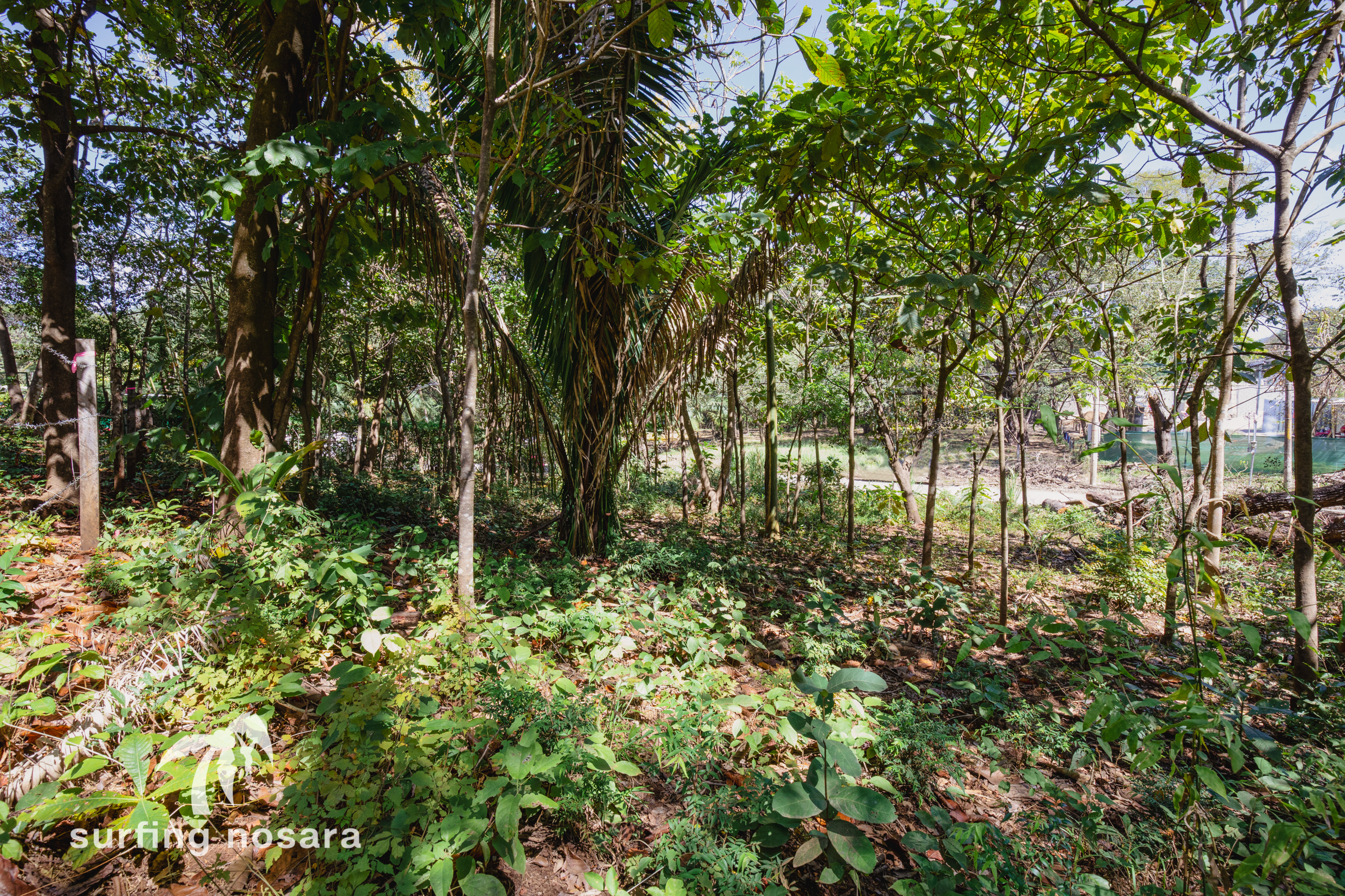 0 bed Land For Sale in Nosara, Guanacaste - thumb 2