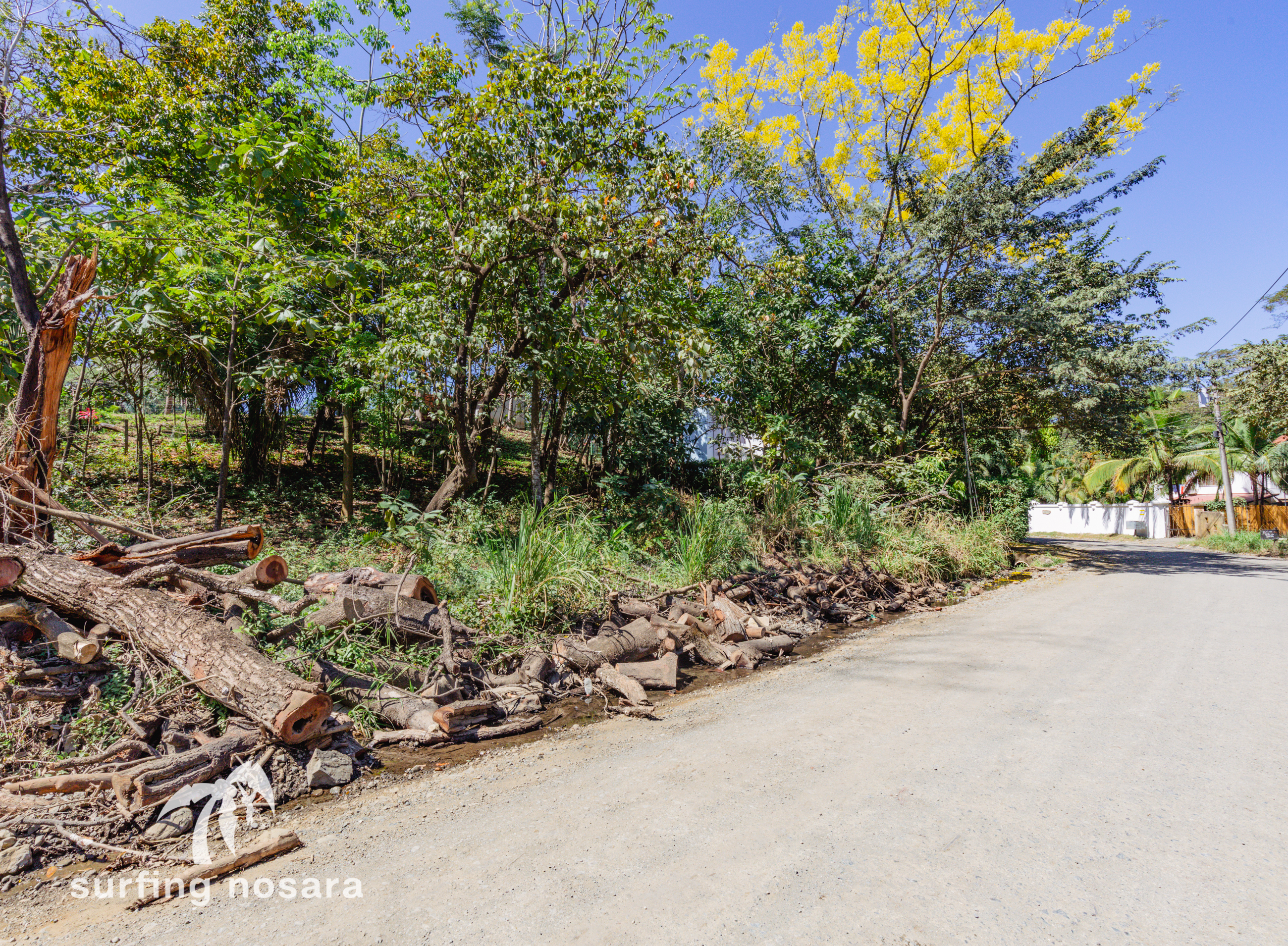 0 bed Land For Sale in Nosara, Guanacaste - thumb 8