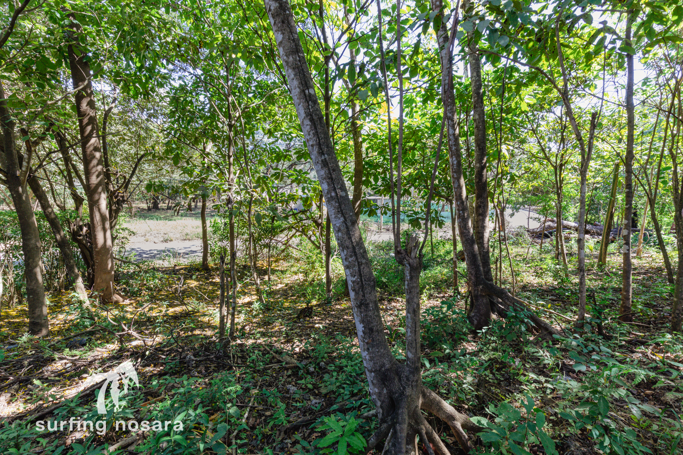 0 bed Land For Sale in Nosara, Guanacaste - thumb 4