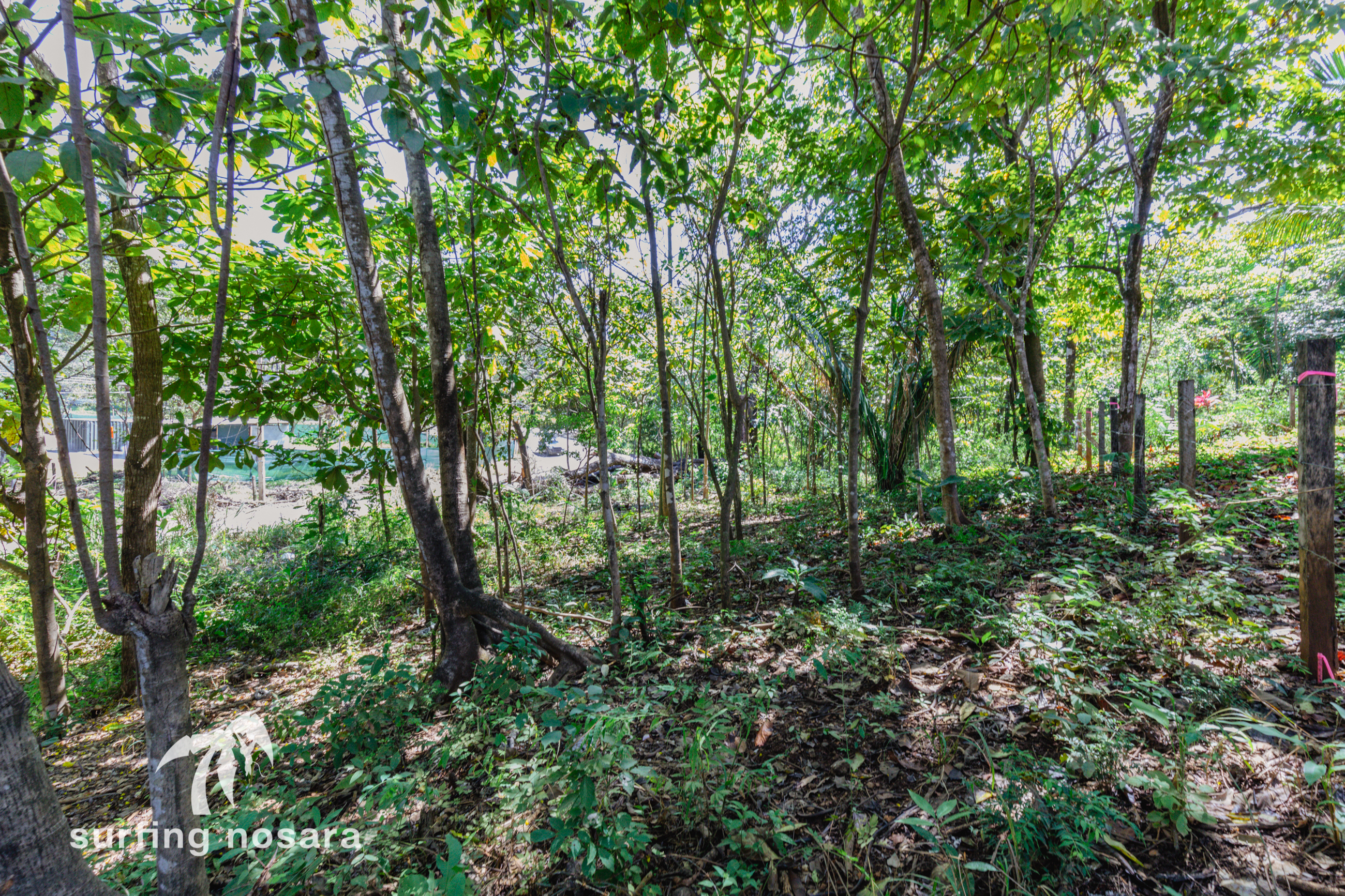 0 bed Land For Sale in Nosara, Guanacaste - thumb 3