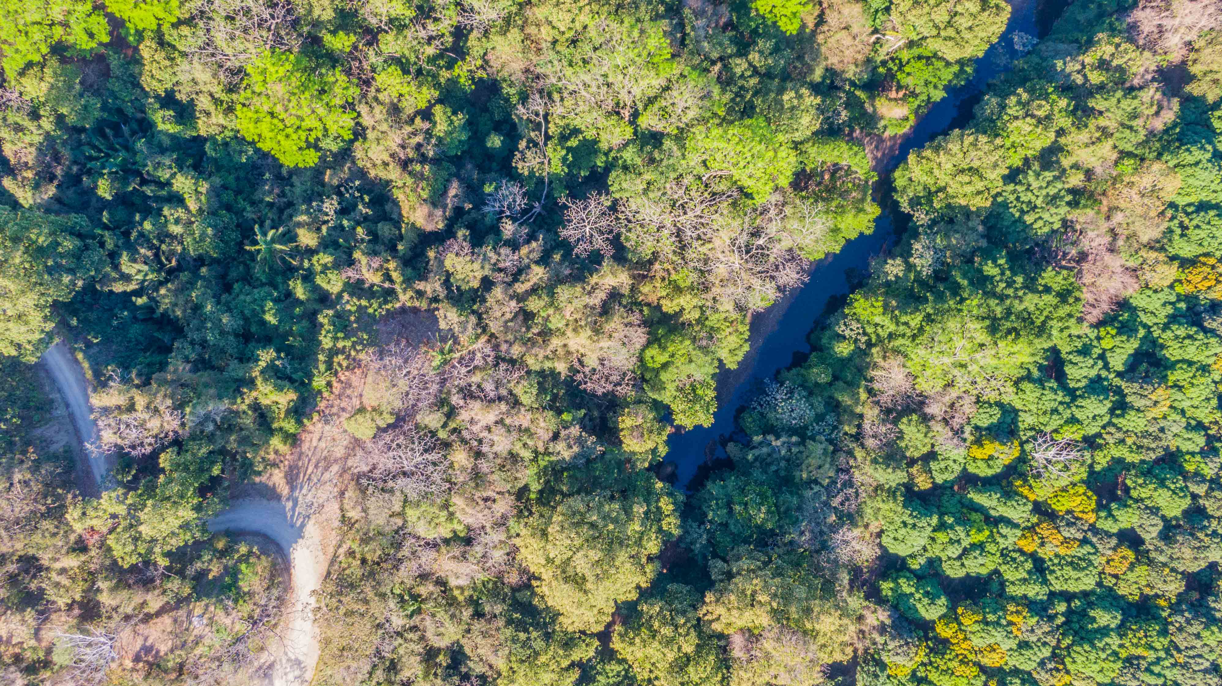 0 bed Land For Sale in Nosara, Guanacaste - thumb 3