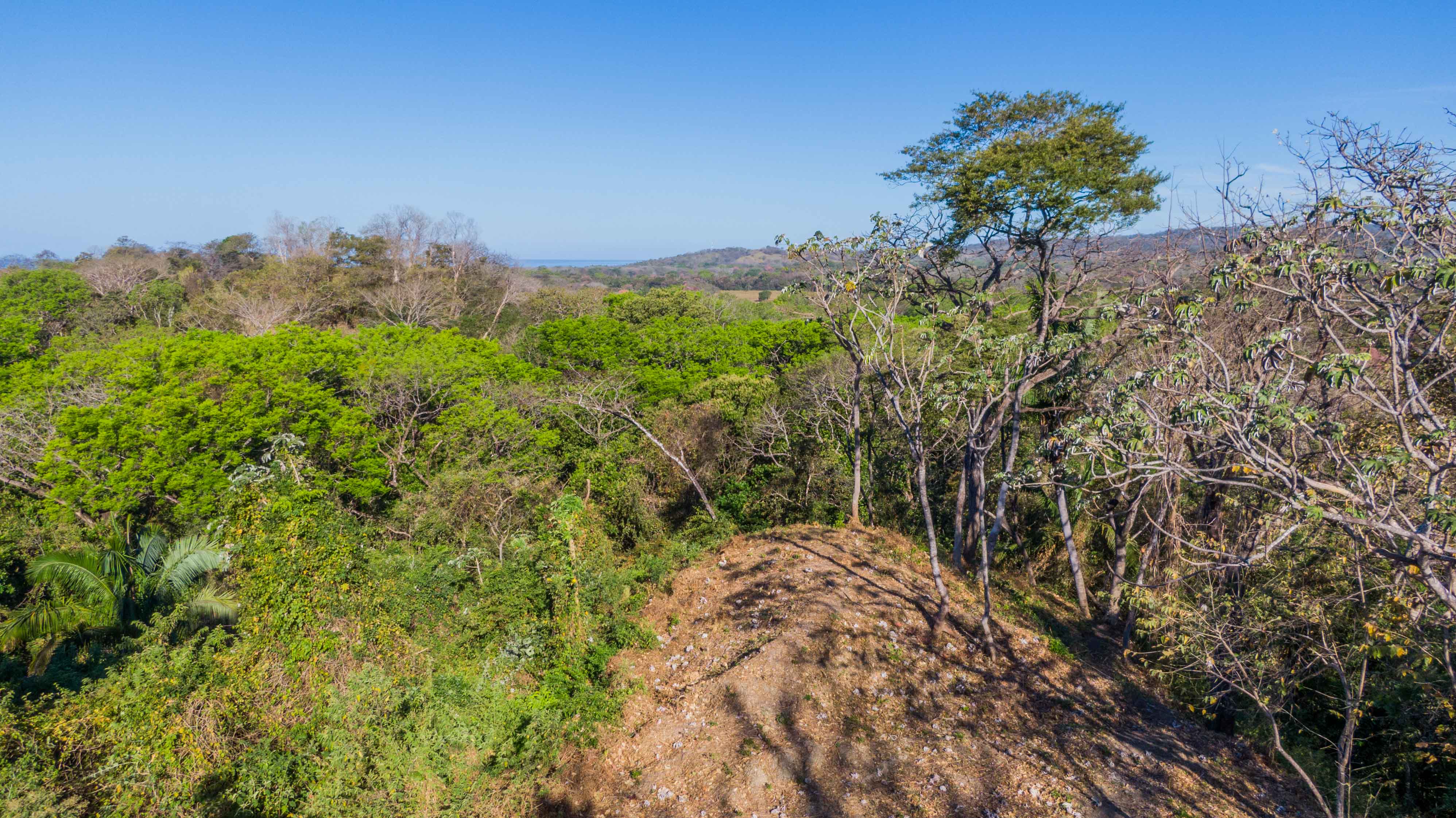 0 bed Land For Sale in Nosara, Guanacaste - thumb 2