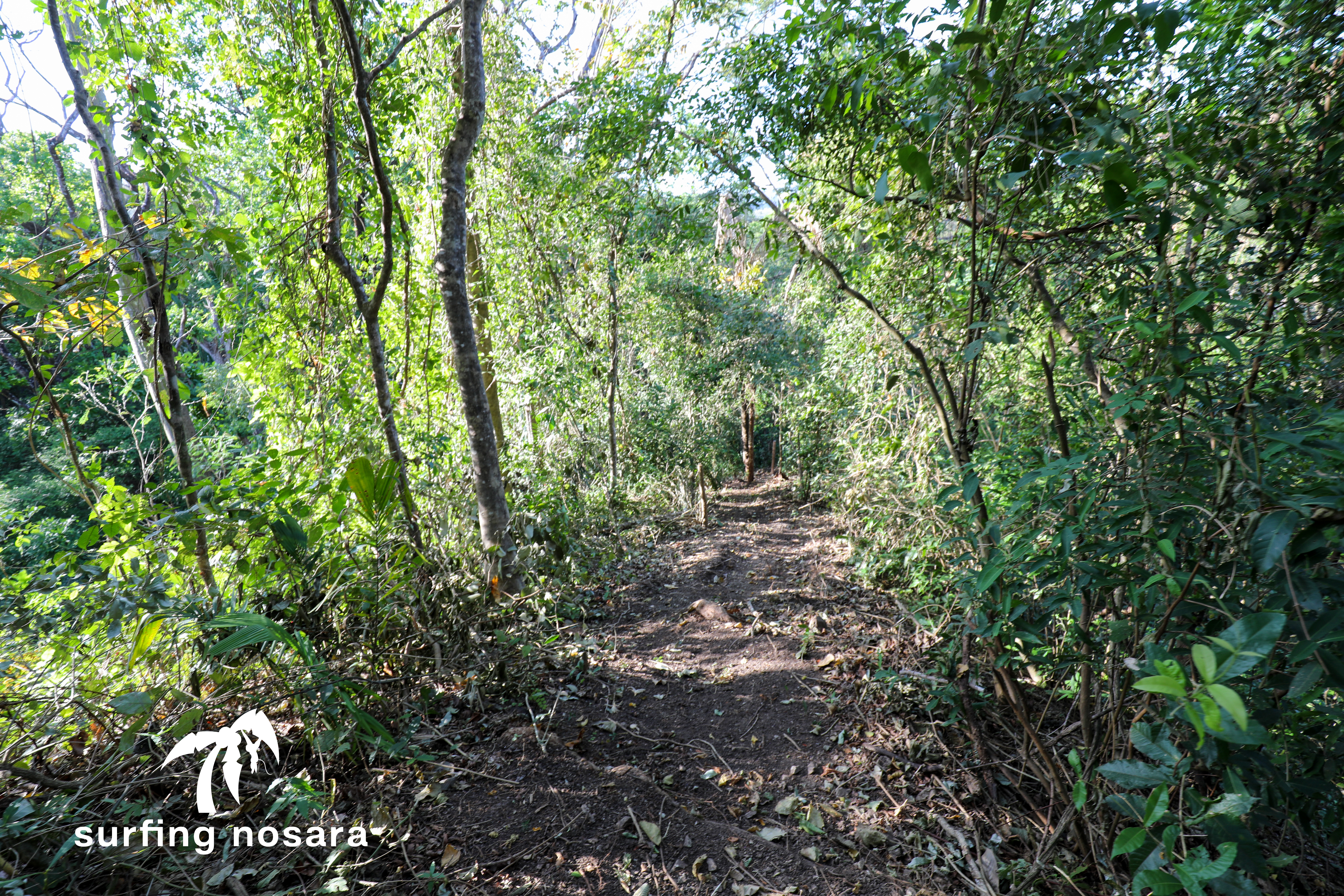 0 bed Land For Sale in Nosara, Guanacaste - thumb 9