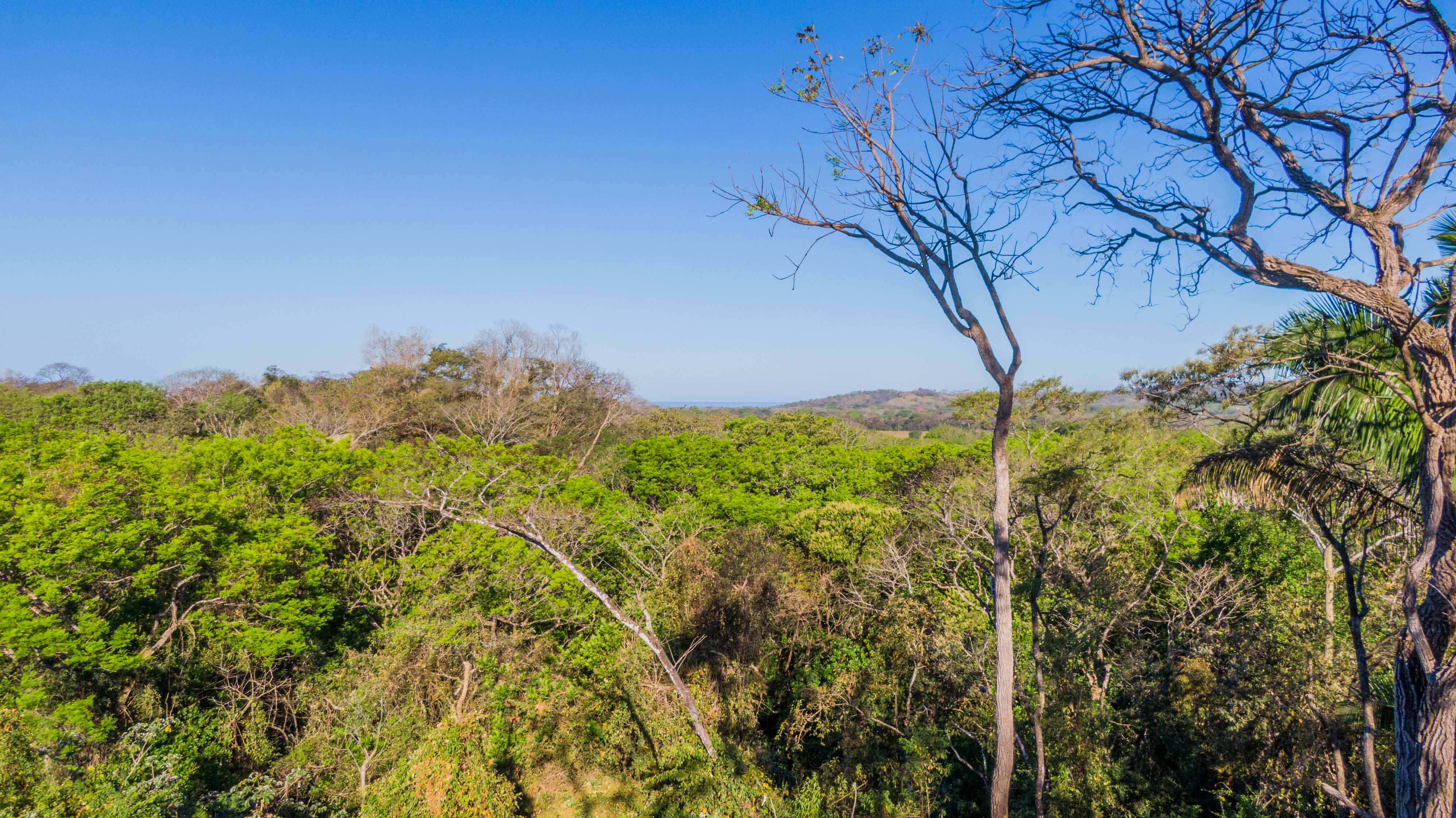 0 bed Land For Sale in Nosara, Guanacaste - thumb 1
