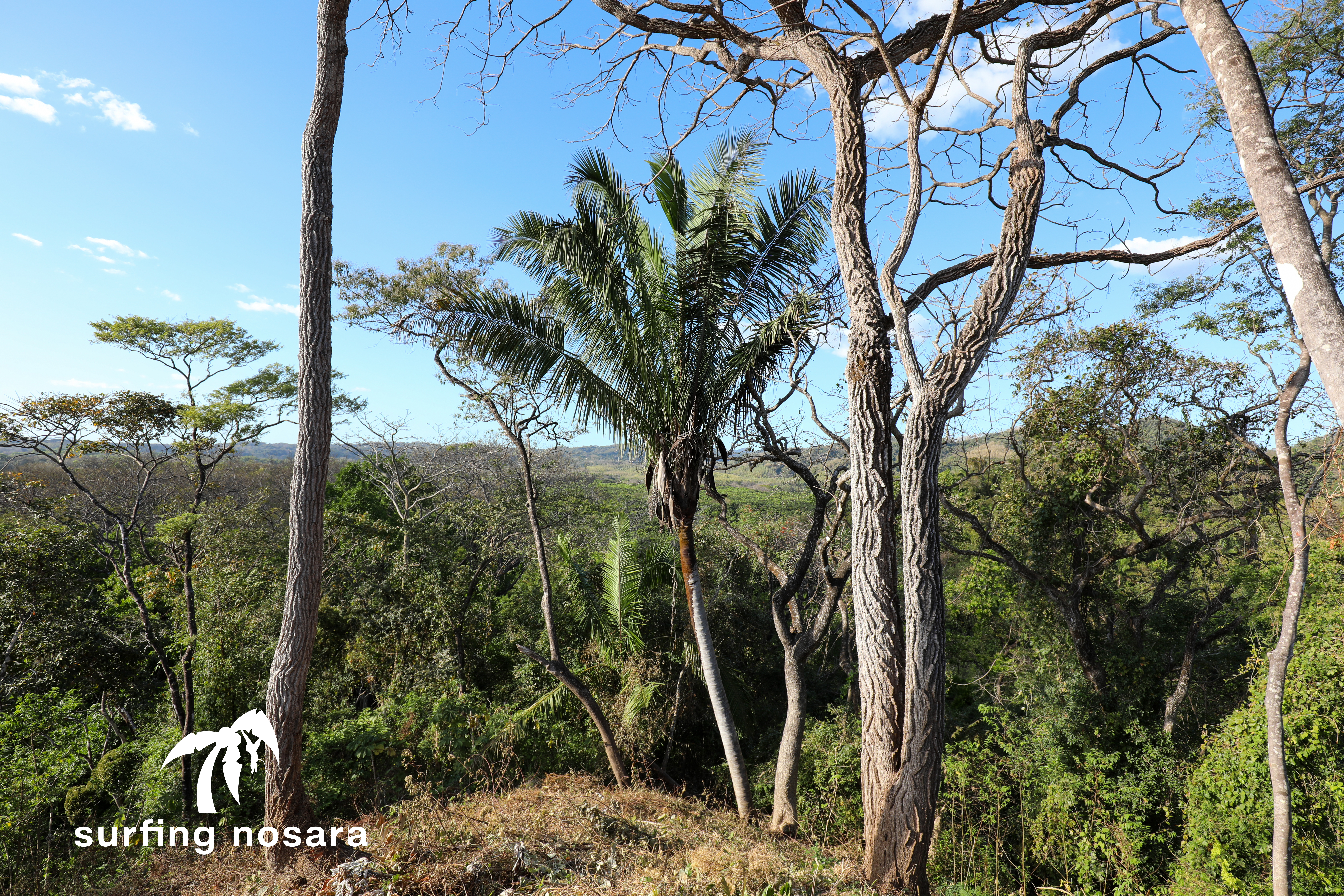 0 bed Land For Sale in Nosara, Guanacaste - thumb 7