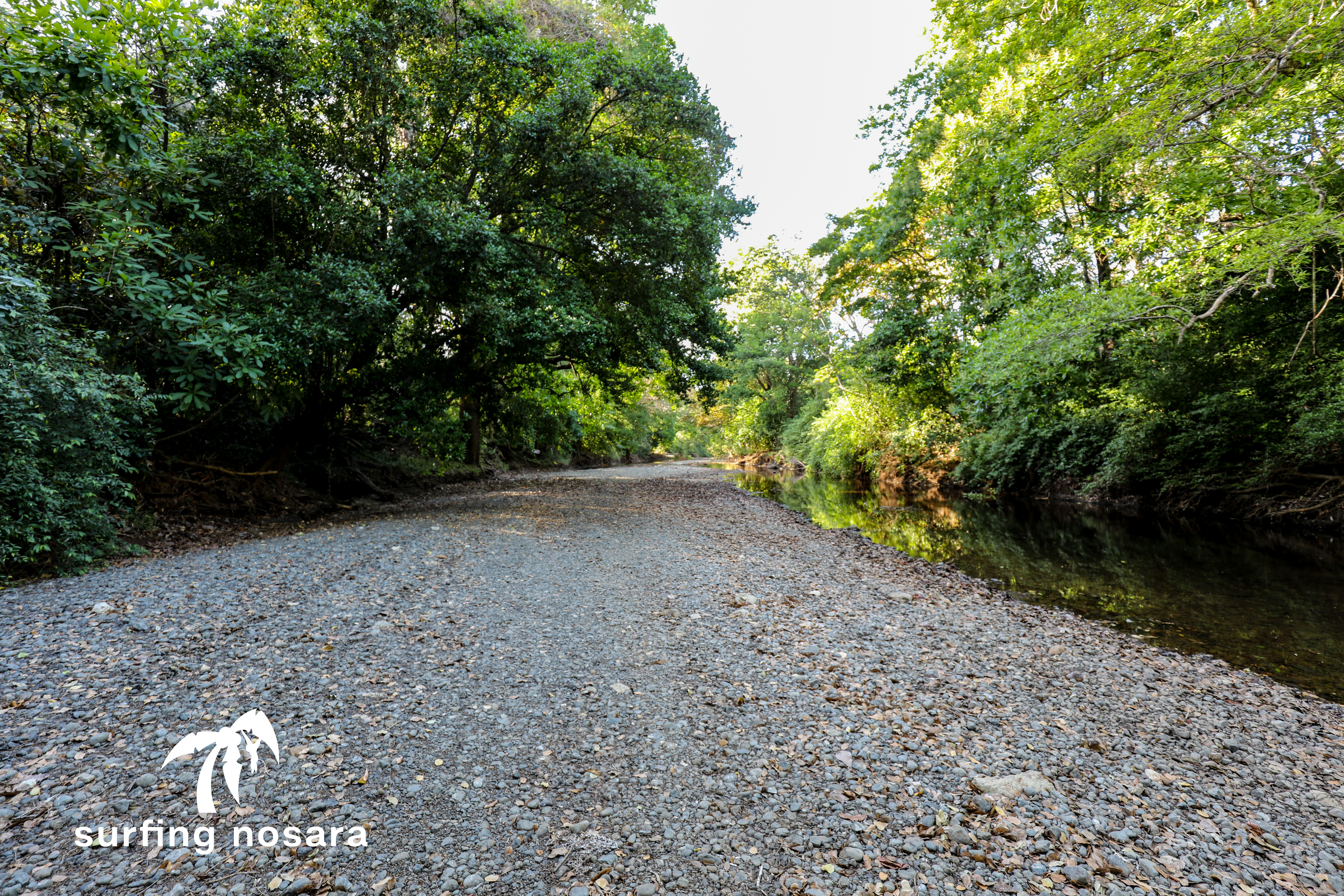 0 bed Land For Sale in Nosara, Guanacaste - thumb 12