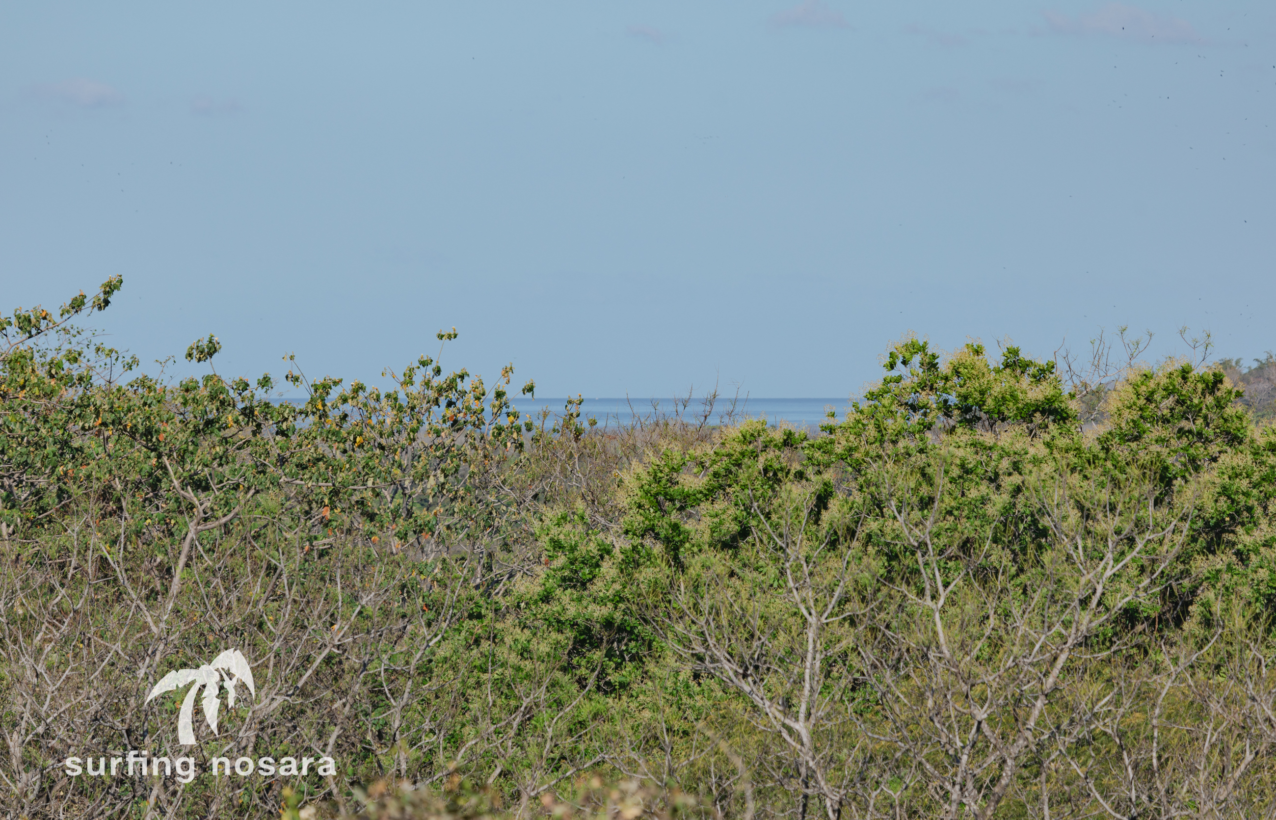 0 bed Land For Sale in Nosara, Guanacaste - thumb 5