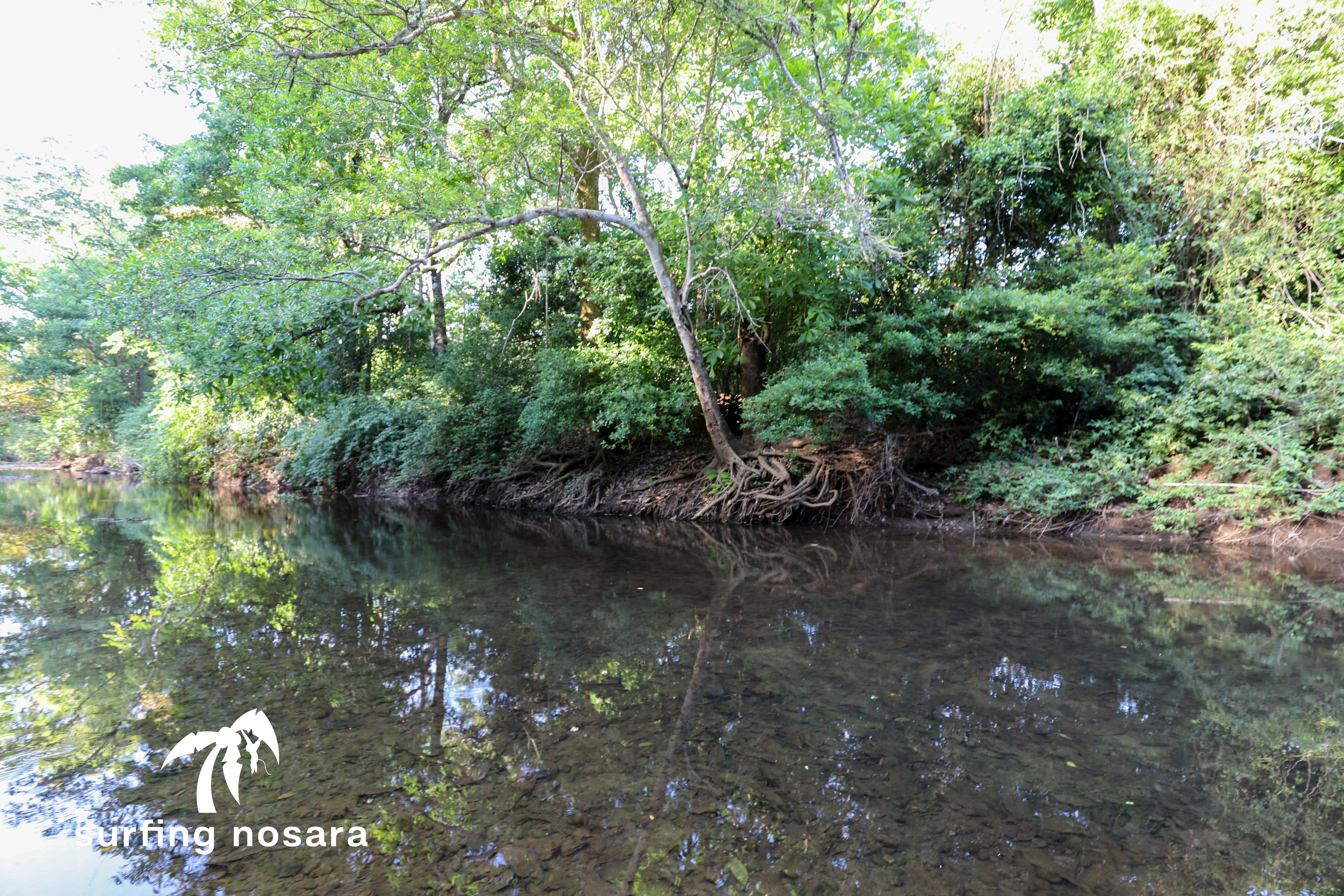 0 bed Land For Sale in Nosara, Guanacaste - thumb 13