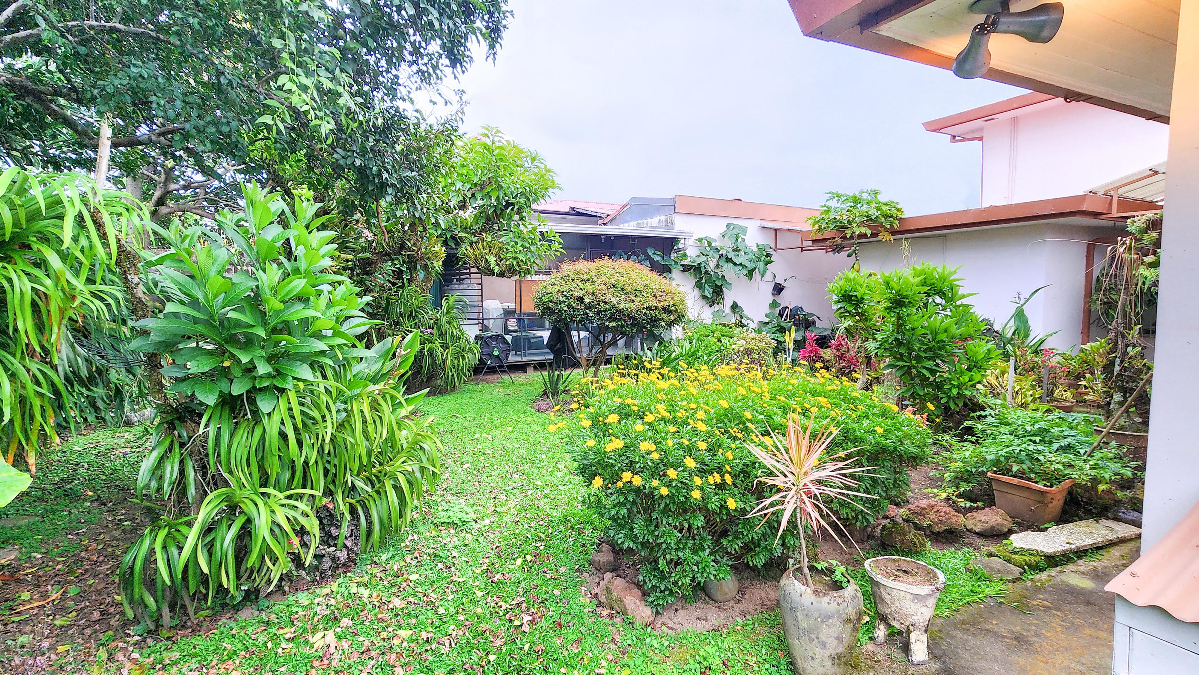 5 bed Single Family Homes For Sale in Montes de Oca, San Jose - thumb 9