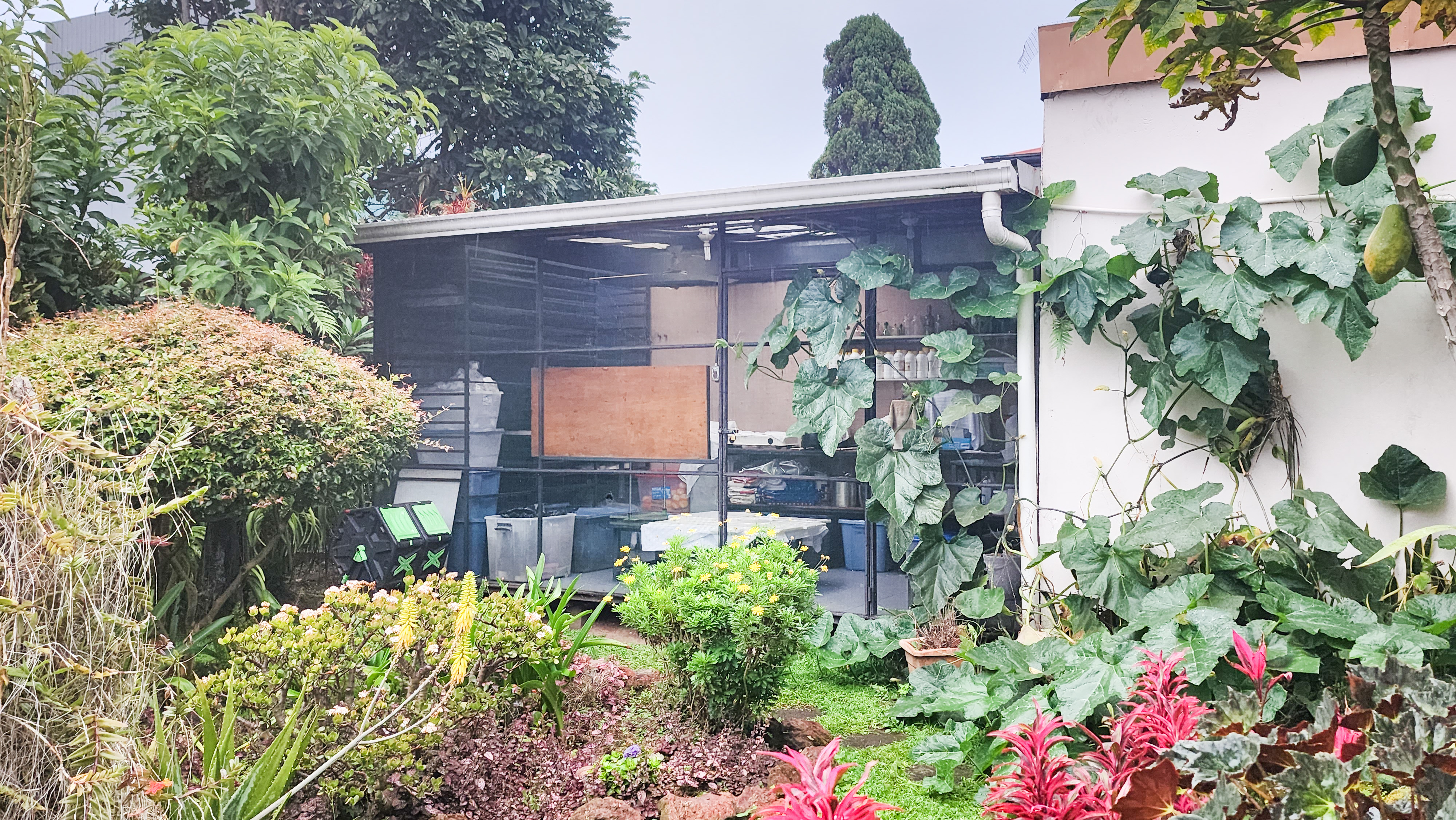 5 bed Single Family Homes For Sale in Montes de Oca, San Jose - thumb 10