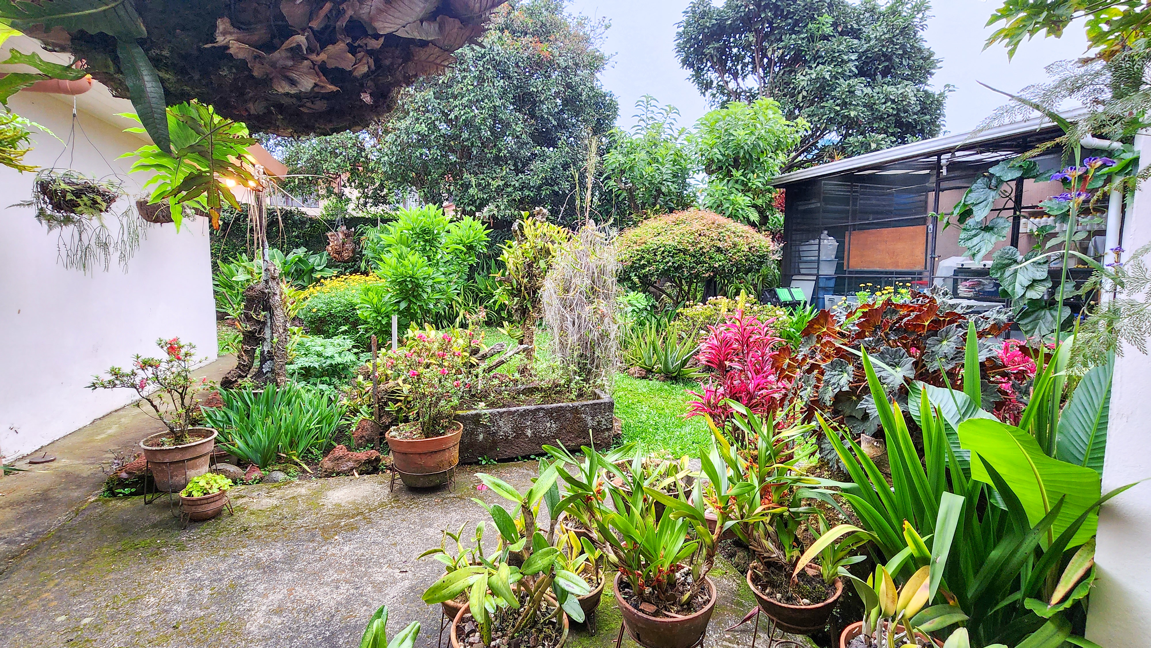 5 bed Single Family Homes For Sale in Montes de Oca, San Jose - thumb 8