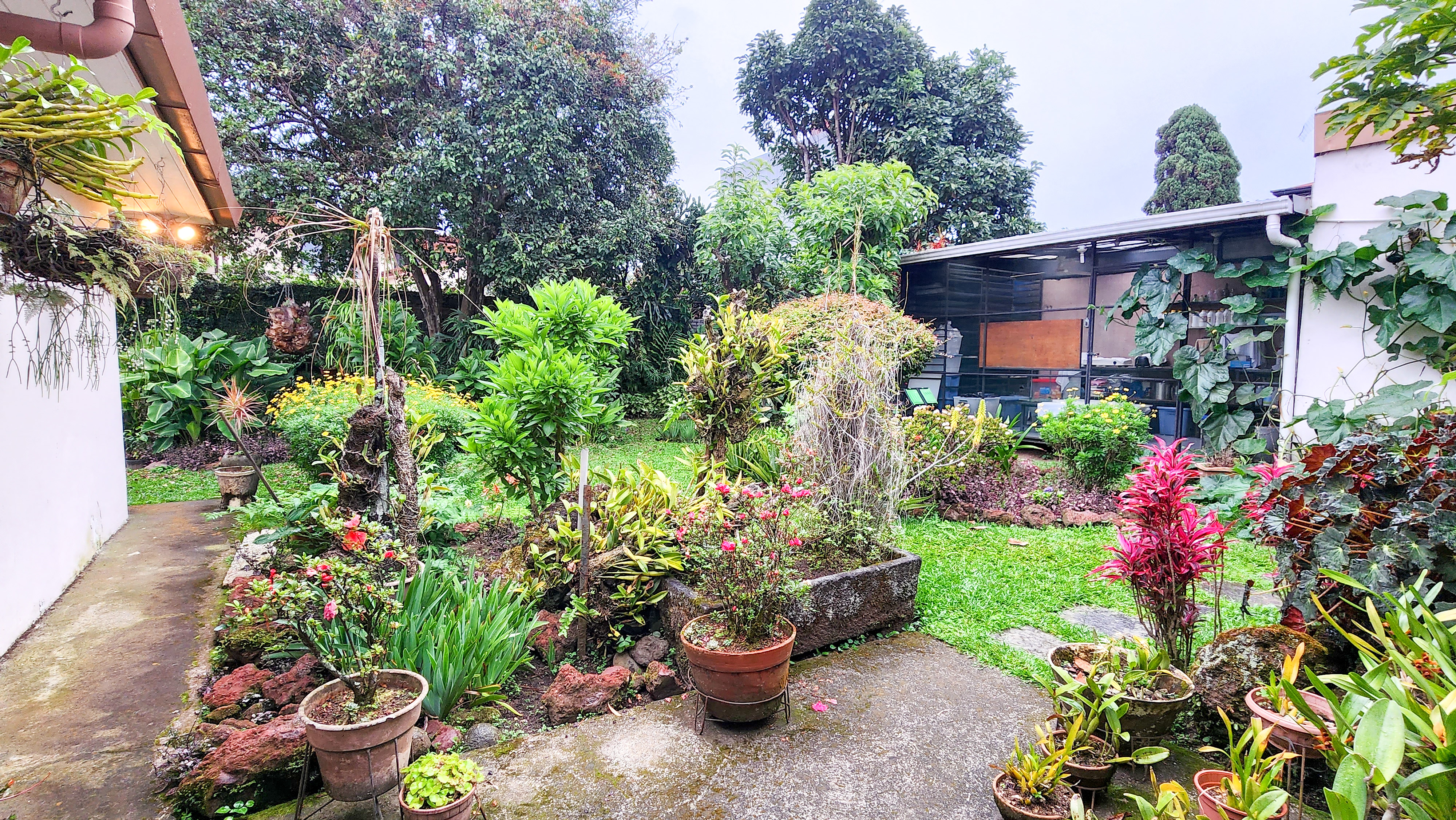 5 bed Single Family Homes For Sale in Montes de Oca, San Jose - thumb 7