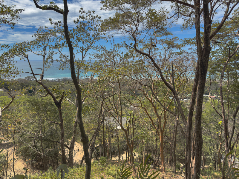 0 bed Land For Sale in Santa Teresa, Puntarenas - hero 6