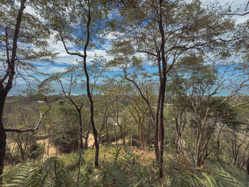 0 bed Land For Sale in Santa Teresa, Puntarenas - hero 5