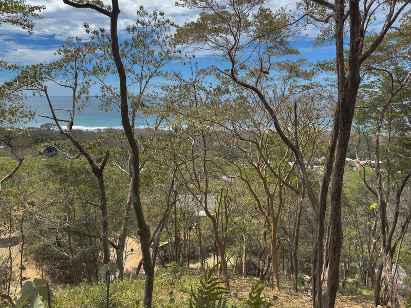 0 bed Land For Sale in Santa Teresa, Puntarenas - hero 7