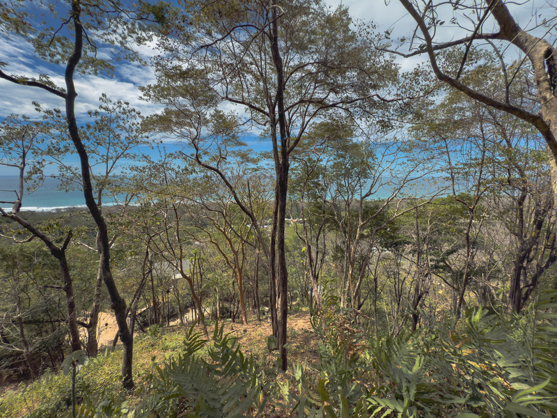 0 bed Land For Sale in Santa Teresa, Puntarenas - hero 8