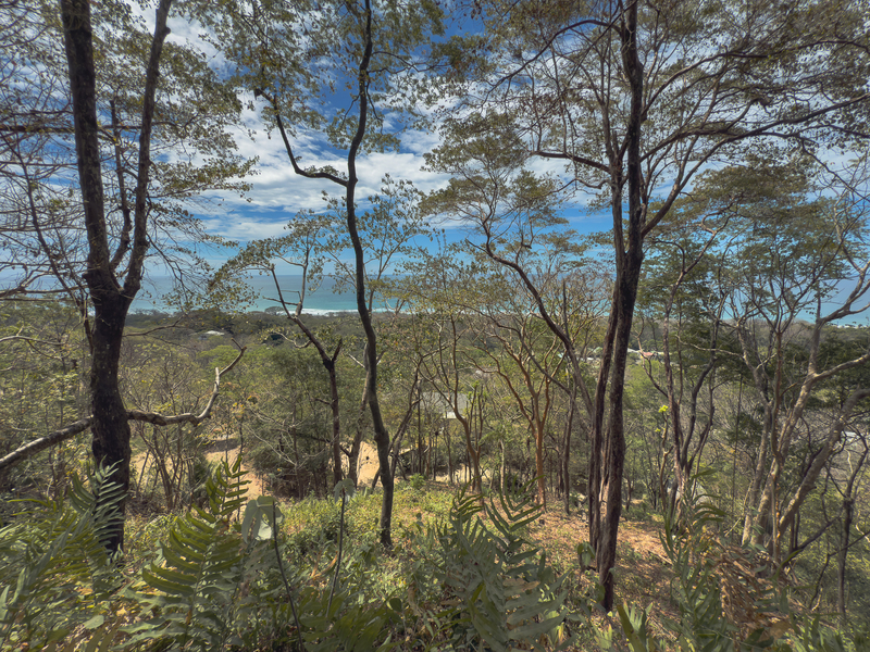 0 bed Land For Sale in Santa Teresa, Puntarenas - hero 9