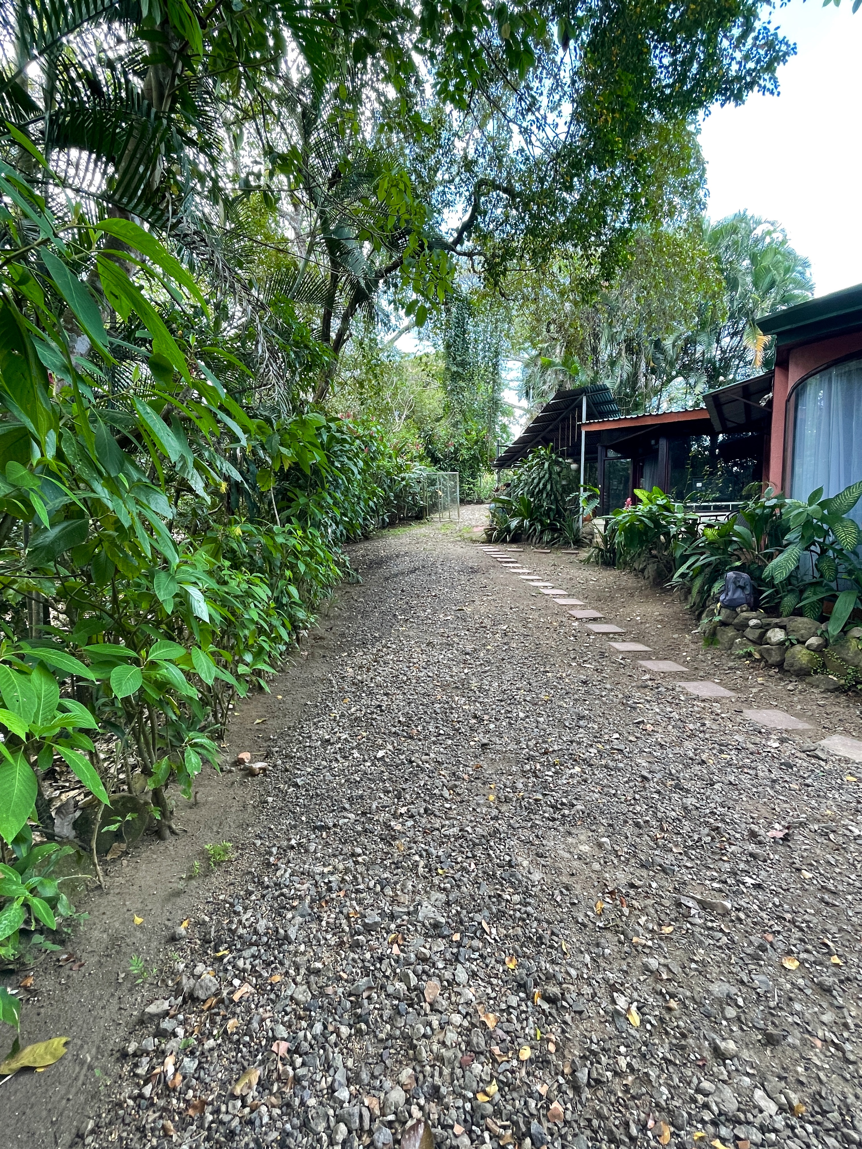 1 bed Single Family Homes For Rent in Atenas, Alajuela - thumb 12