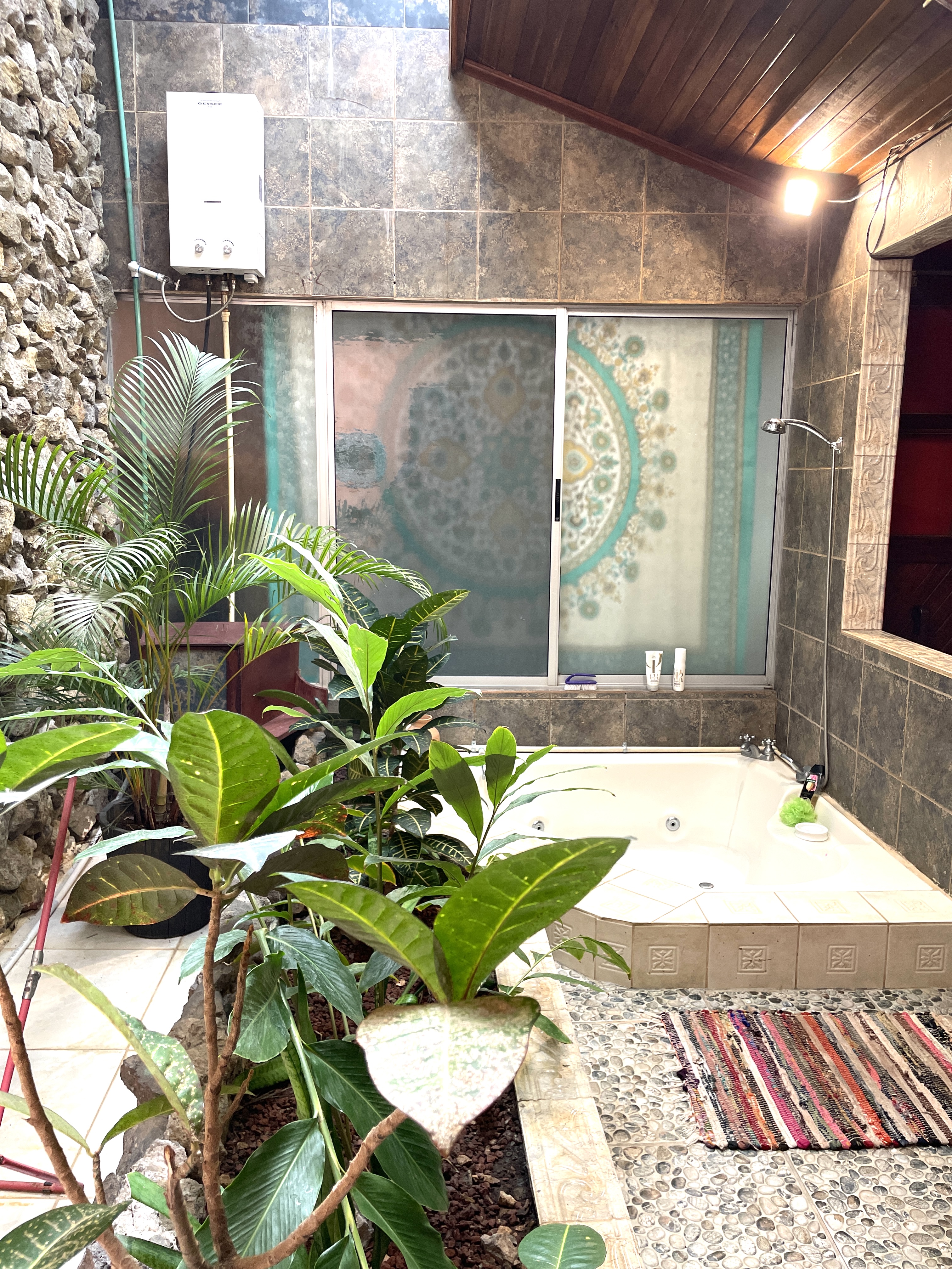 1 bed Single Family Homes For Rent in Atenas, Alajuela - thumb 5