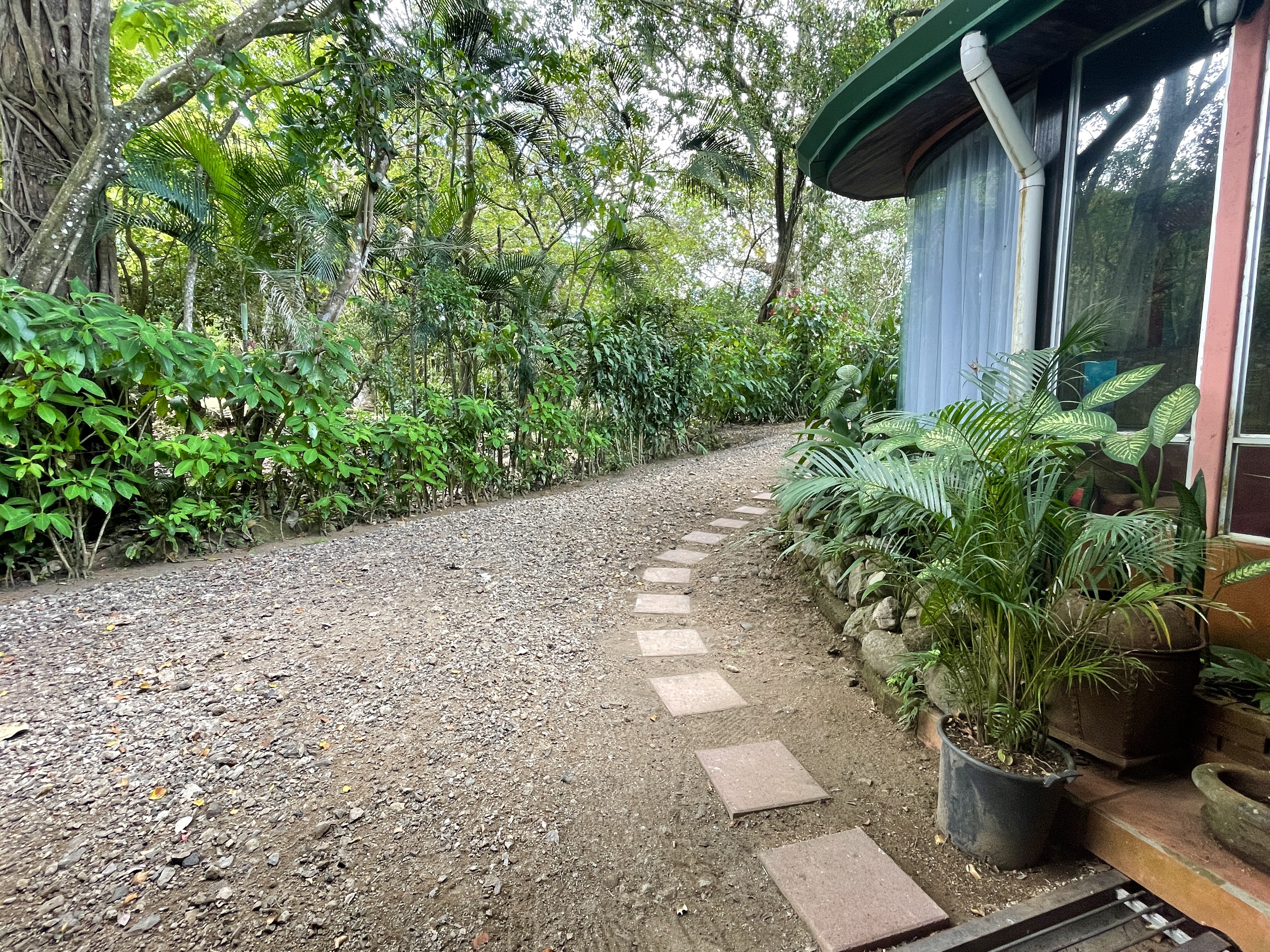 1 bed Single Family Homes For Rent in Atenas, Alajuela - thumb 13