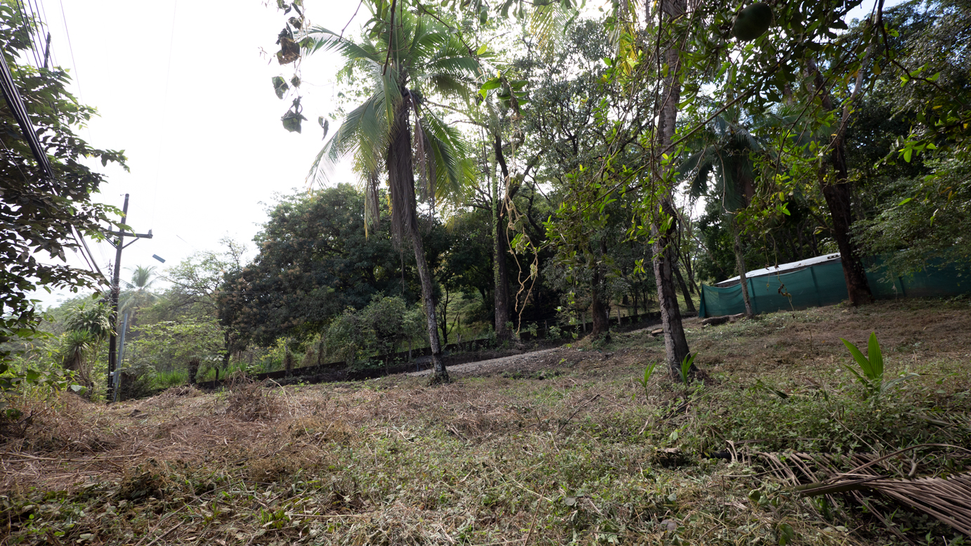 0 bed Land For Sale in Samara, Guanacaste - thumb 5