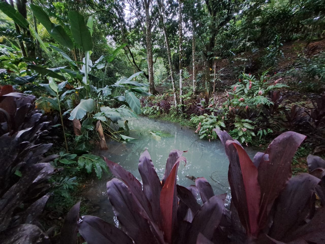 1 bed Land For Sale in La Fortuna, Alajuela - thumb 3