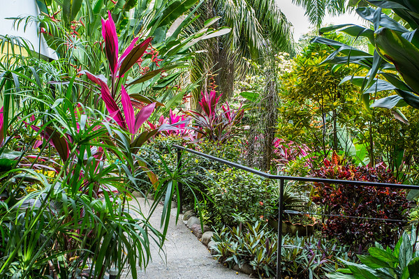 13 bed Hotel / Leisure For Sale in Manuel Antonio, Puntarenas - thumb 8