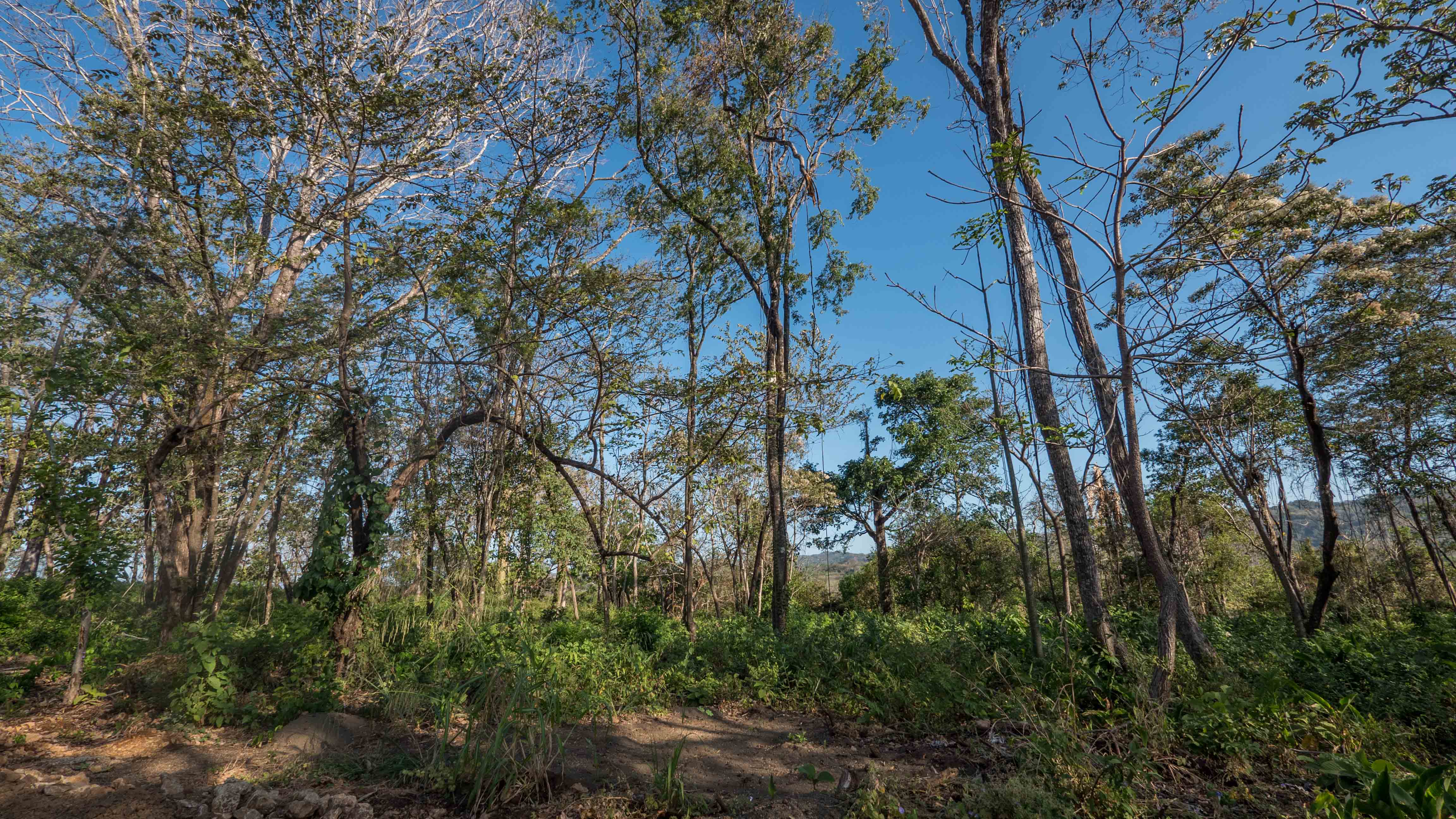 0 bed Land For Sale in Nosara, Guanacaste - thumb 9
