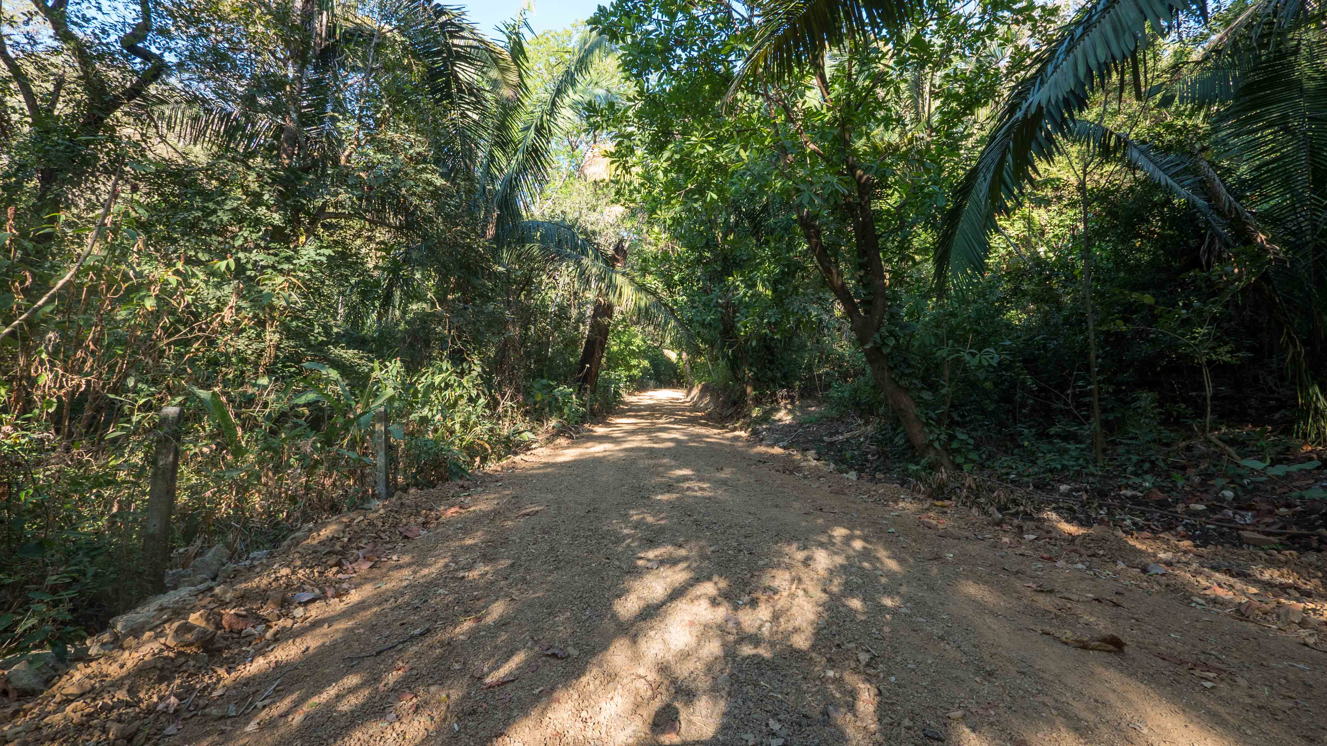 0 bed Land For Sale in Nosara, Guanacaste - thumb 6