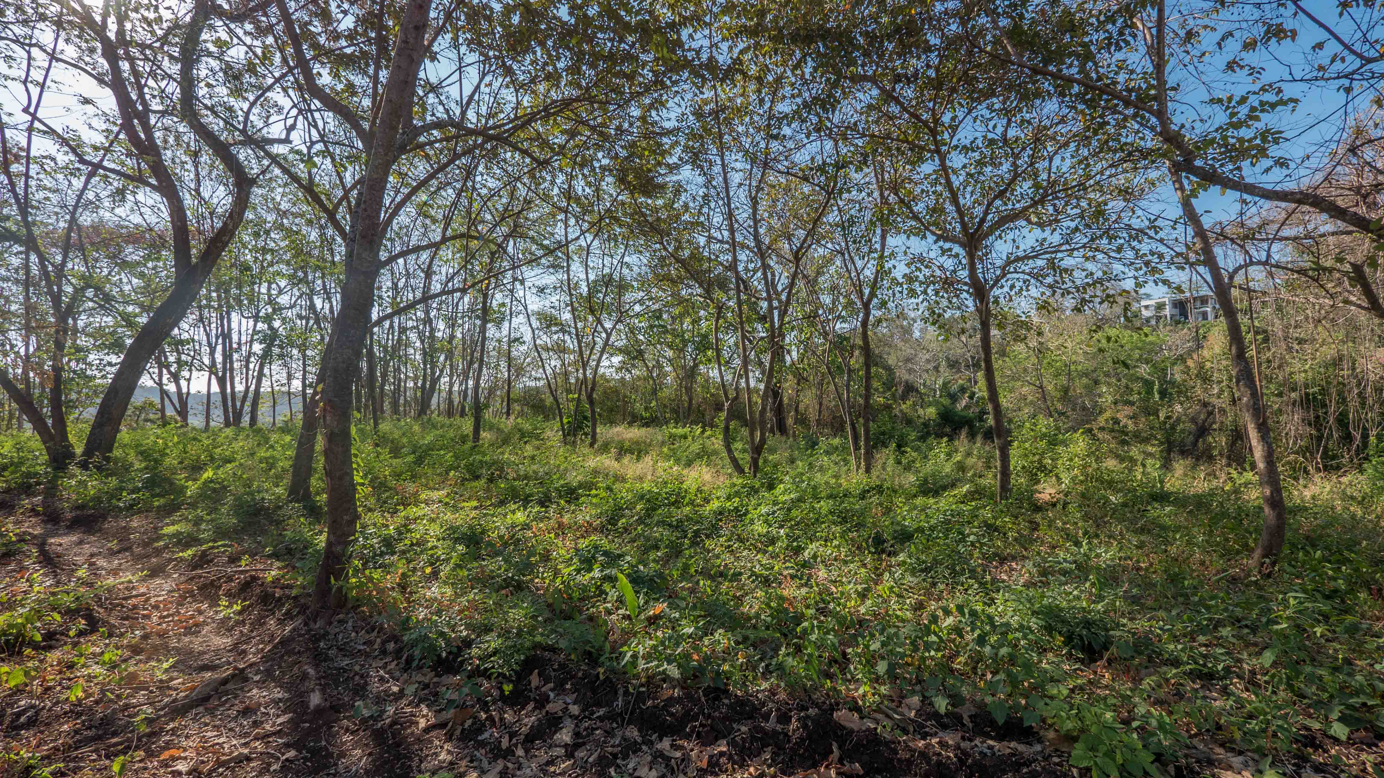 0 bed Land For Sale in Nosara, Guanacaste - thumb 17