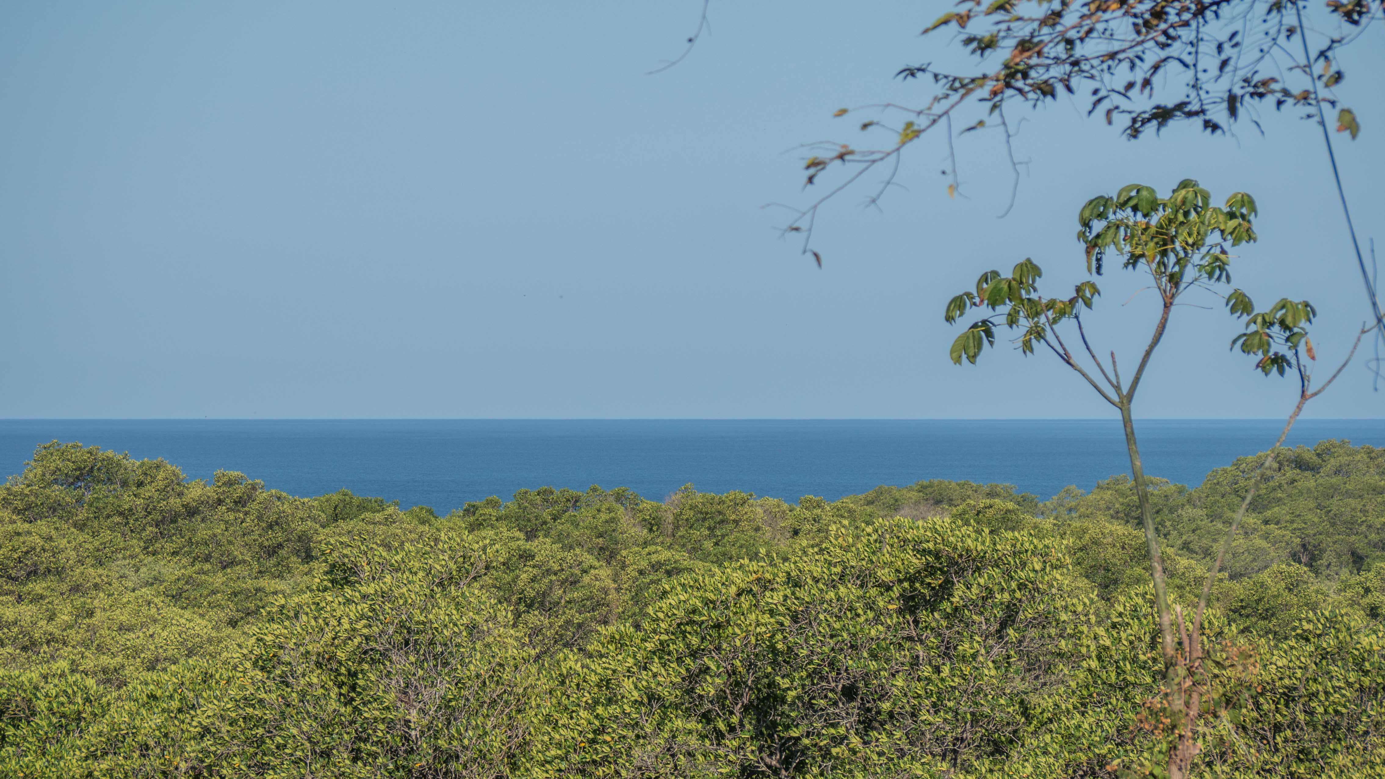 0 bed Land For Sale in Nosara, Guanacaste - thumb 15