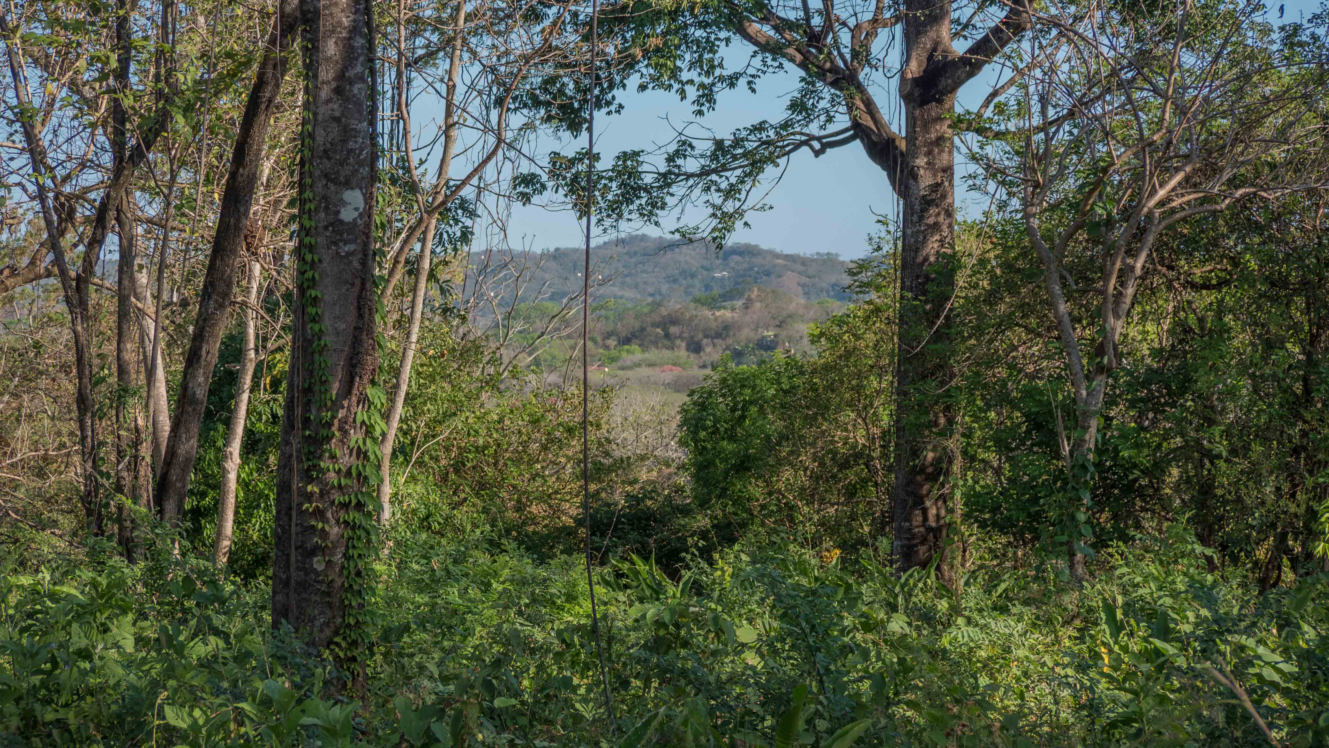 0 bed Land For Sale in Nosara, Guanacaste - thumb 10
