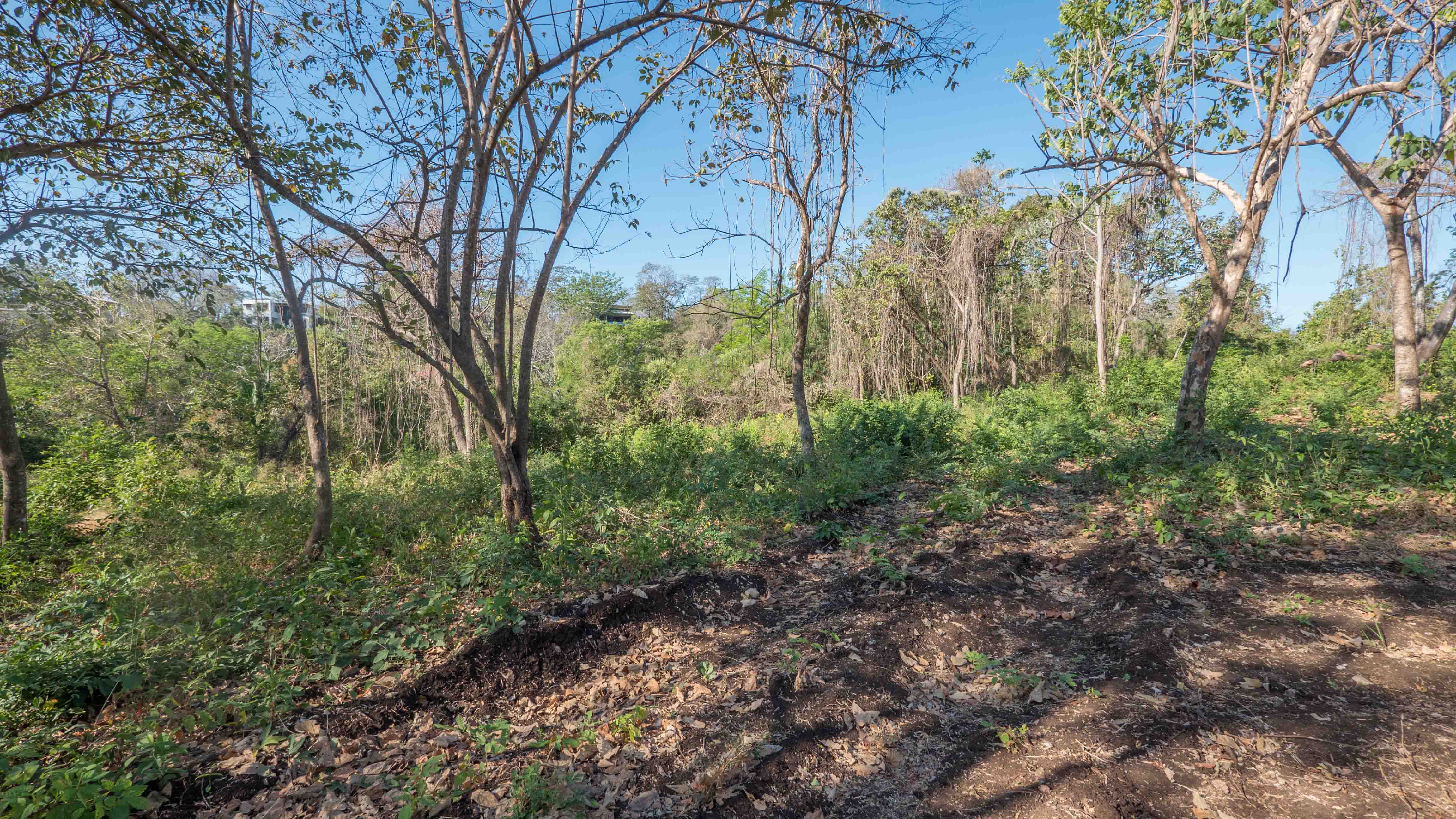 0 bed Land For Sale in Nosara, Guanacaste - thumb 18